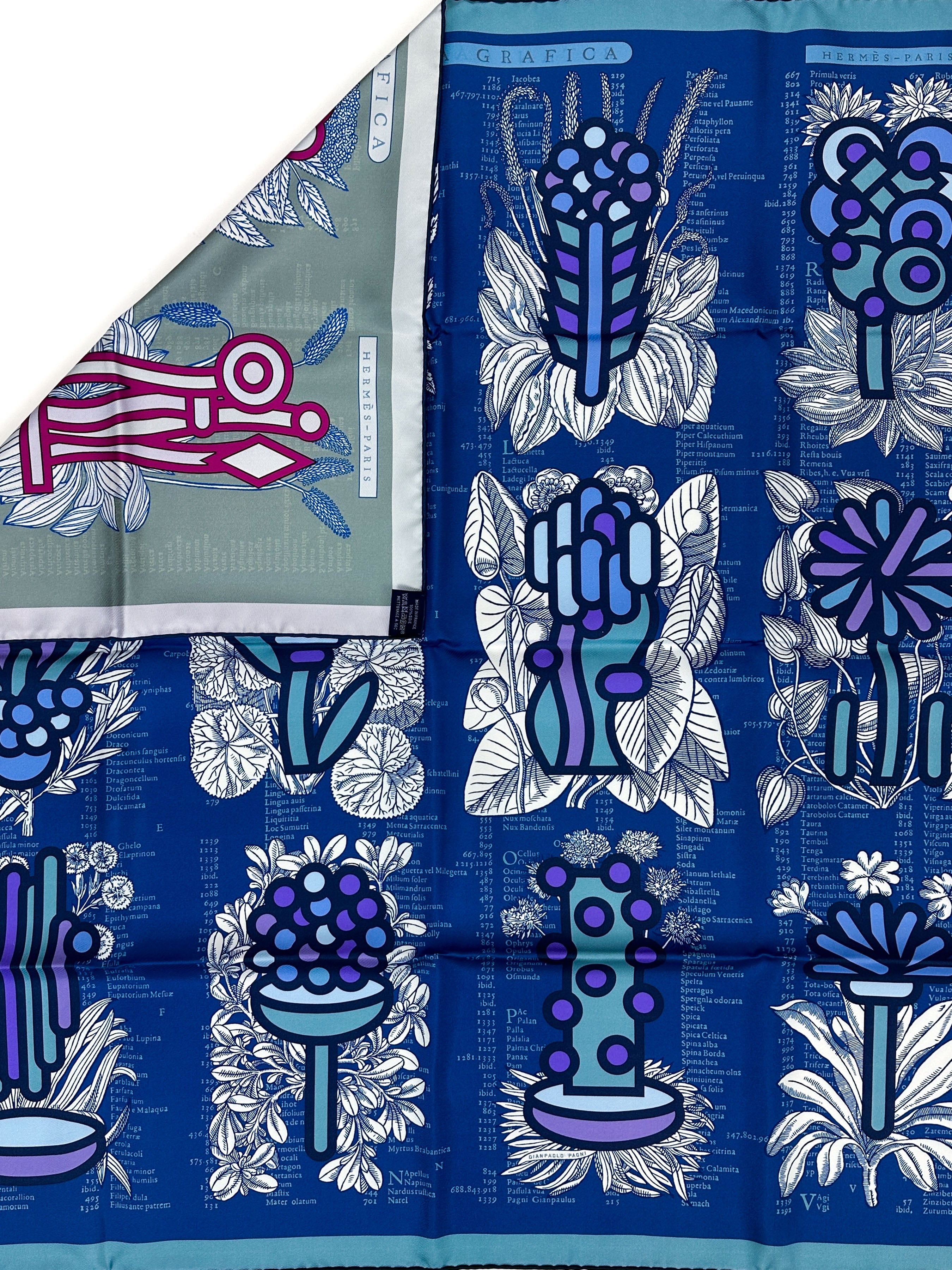 Hermès Botanica Grafica Double Face 90