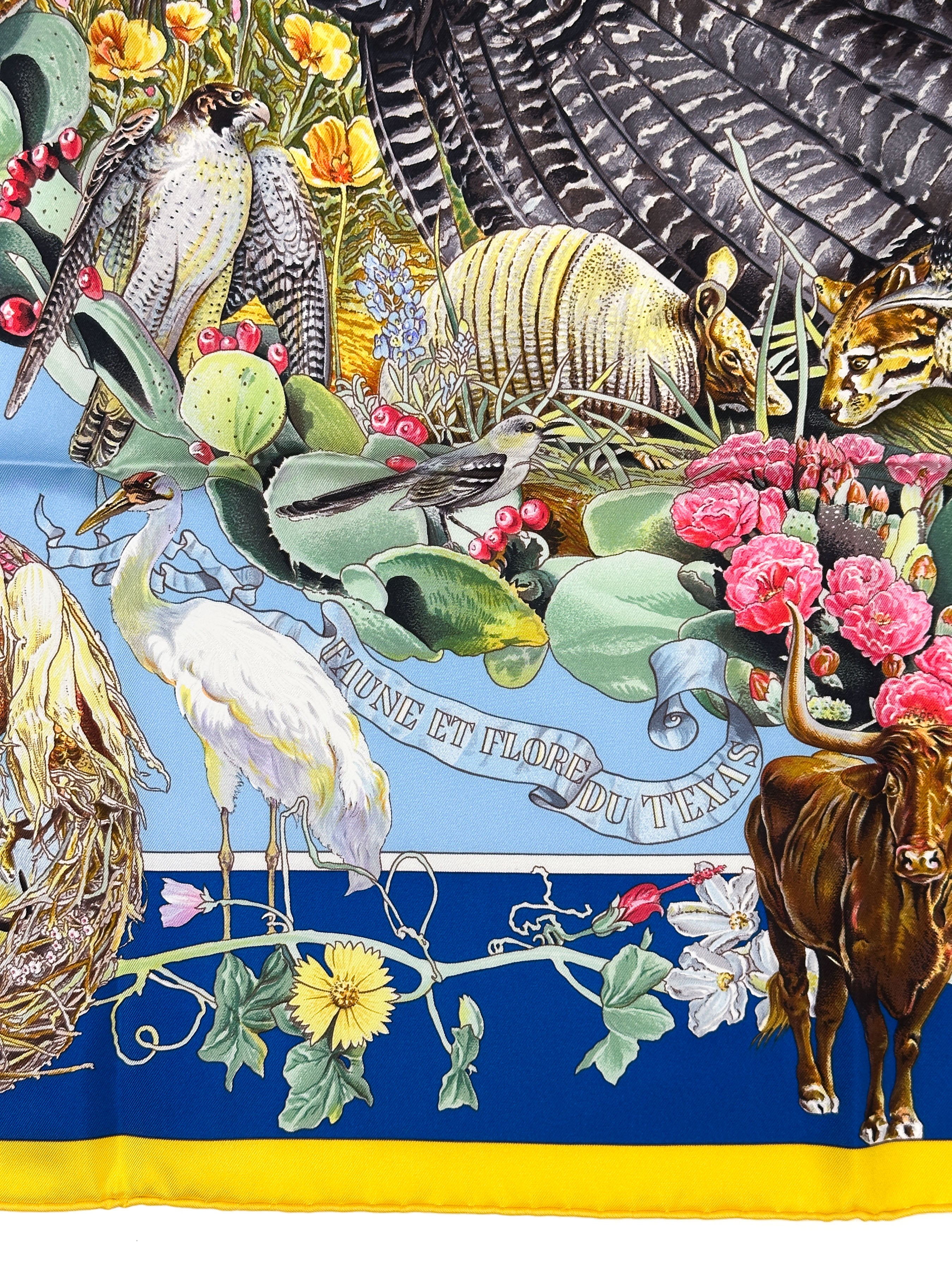 Hermès Faune et Flore du Texas Forever 90