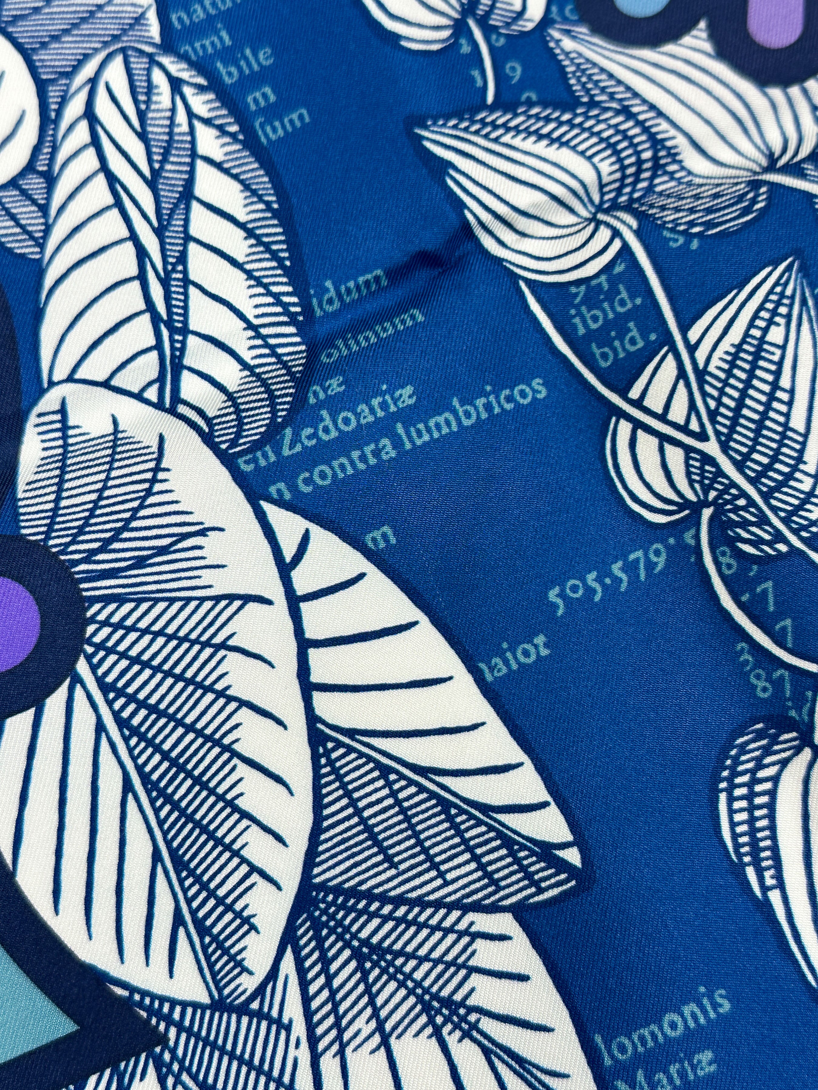 Hermès Botanica Grafica Double Face 90