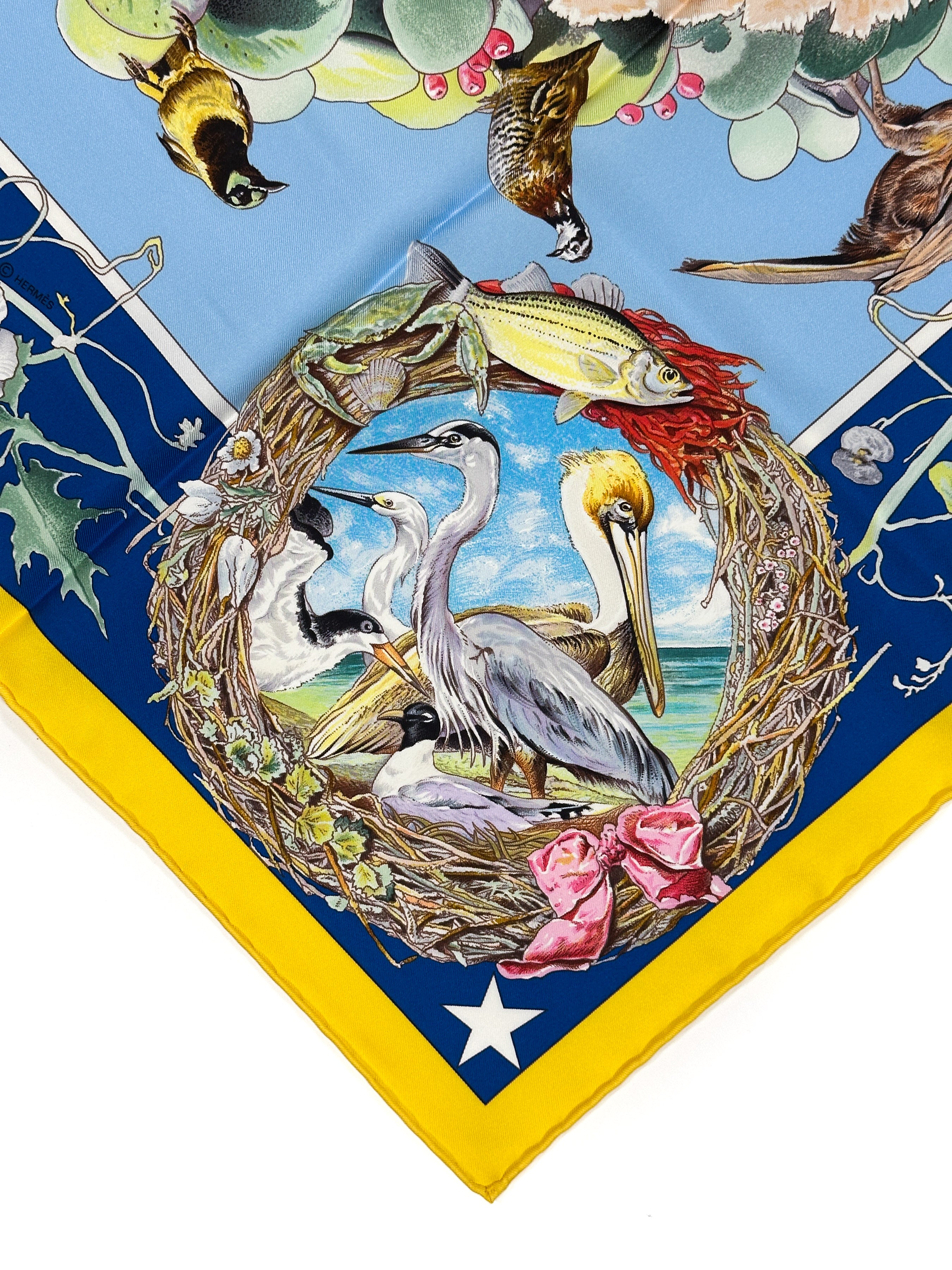 Hermès Faune et Flore du Texas Forever 90