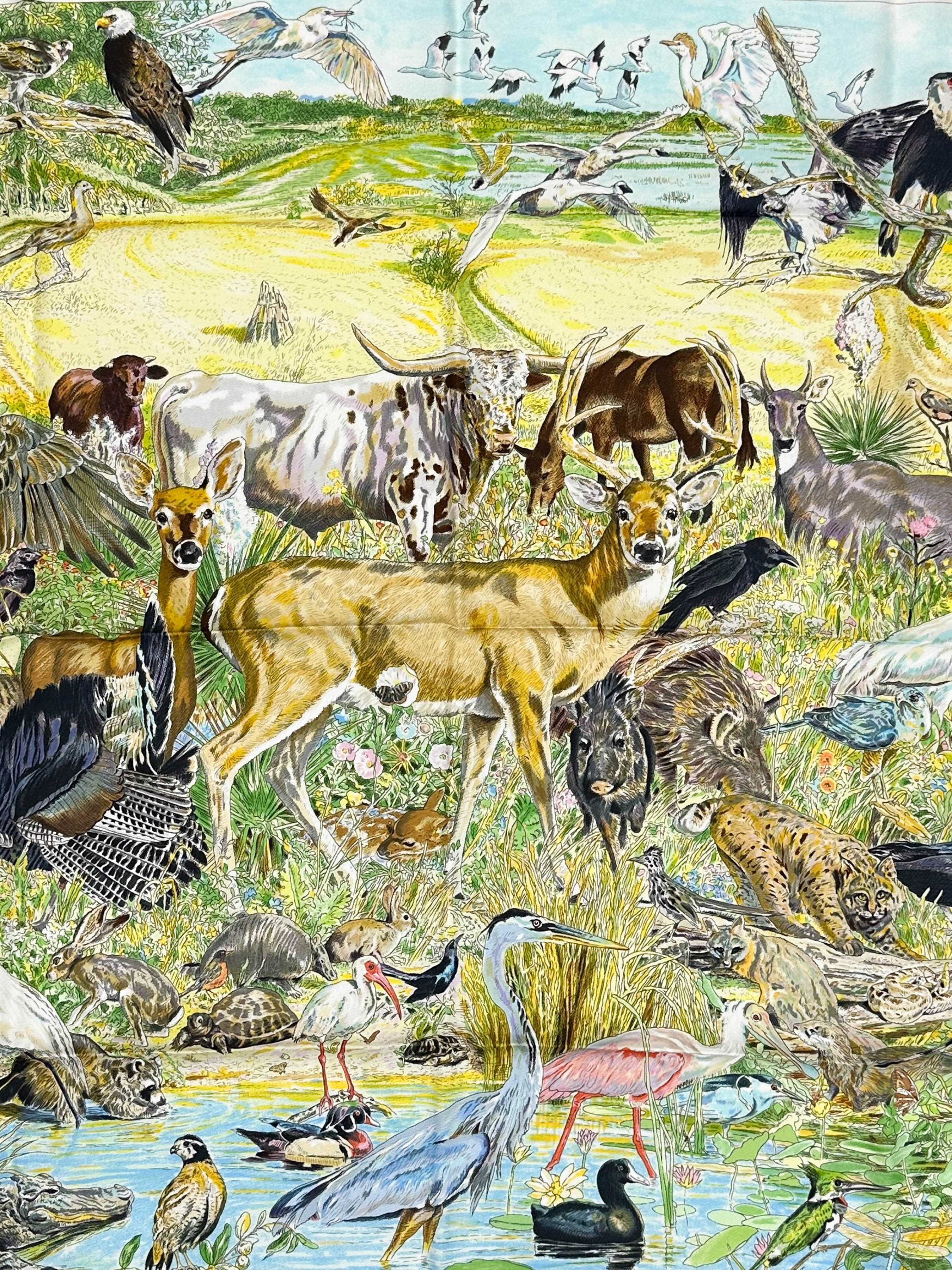 Hermès La Vie Sauvage du Texas 90