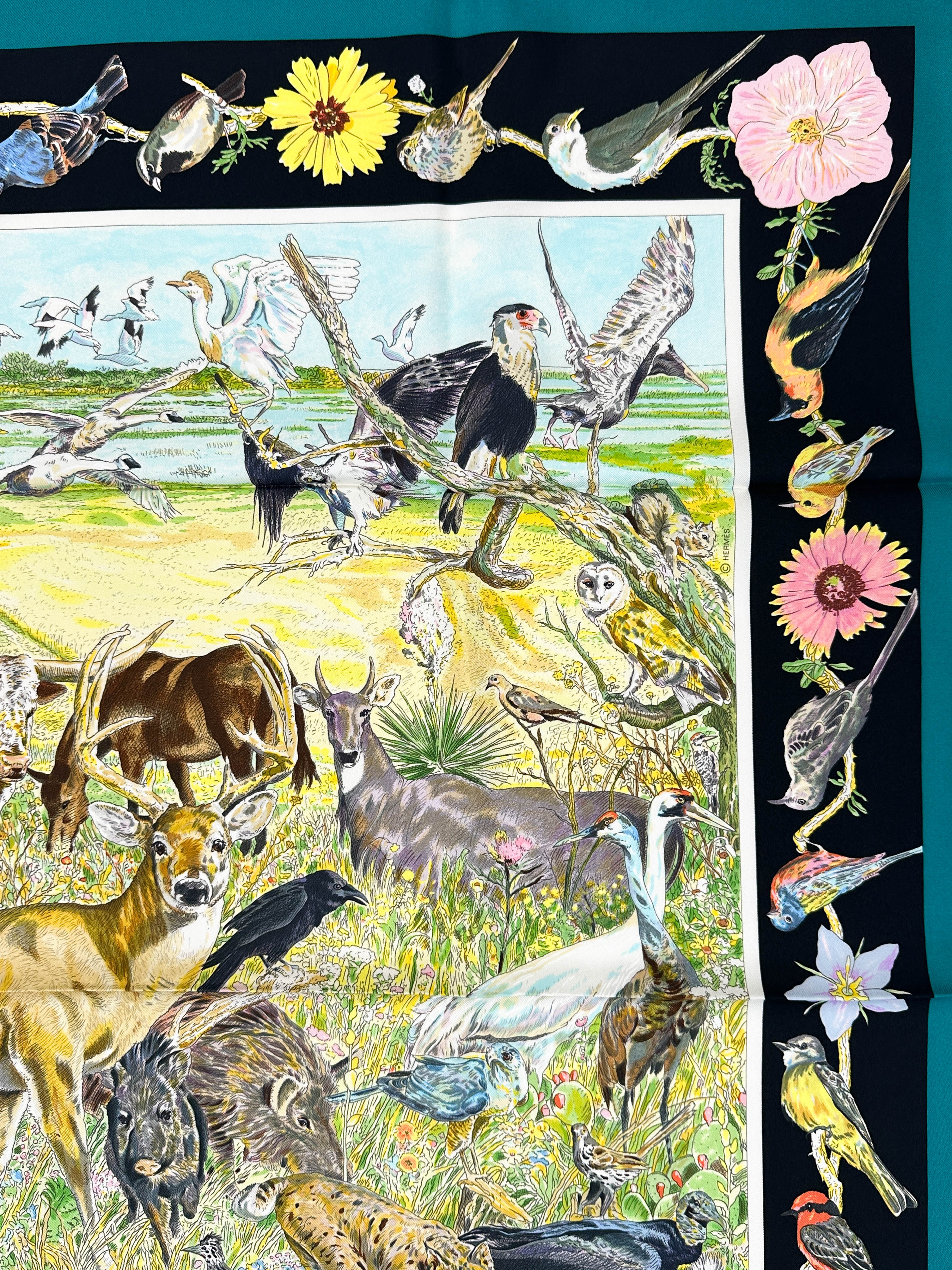 Hermès La Vie Sauvage du Texas 90