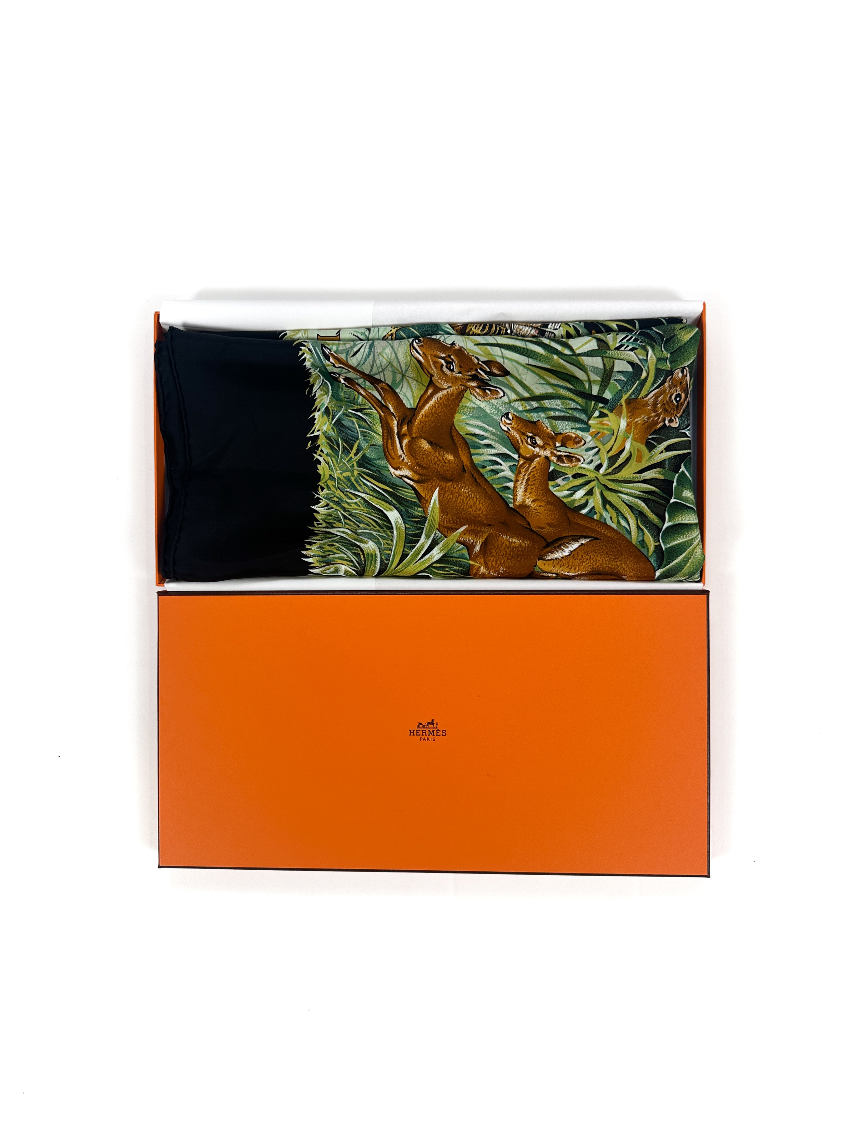 Hermès Équateur Silk 140