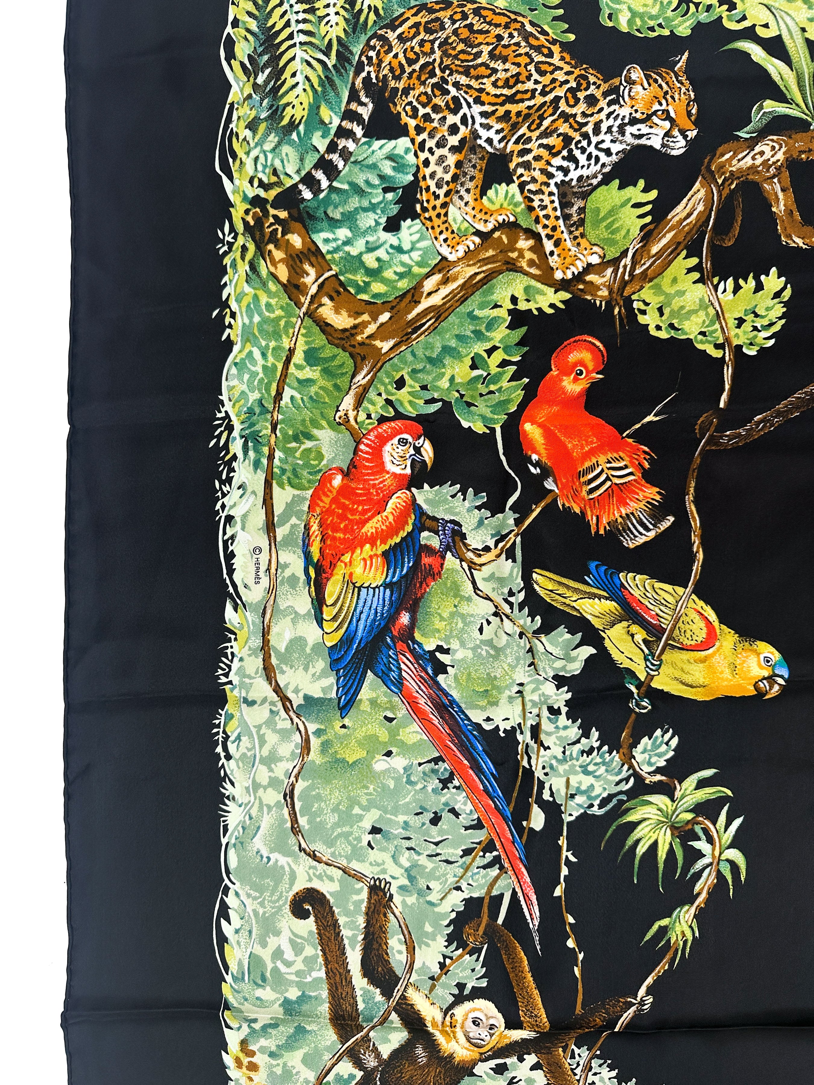Hermès Équateur Silk 140