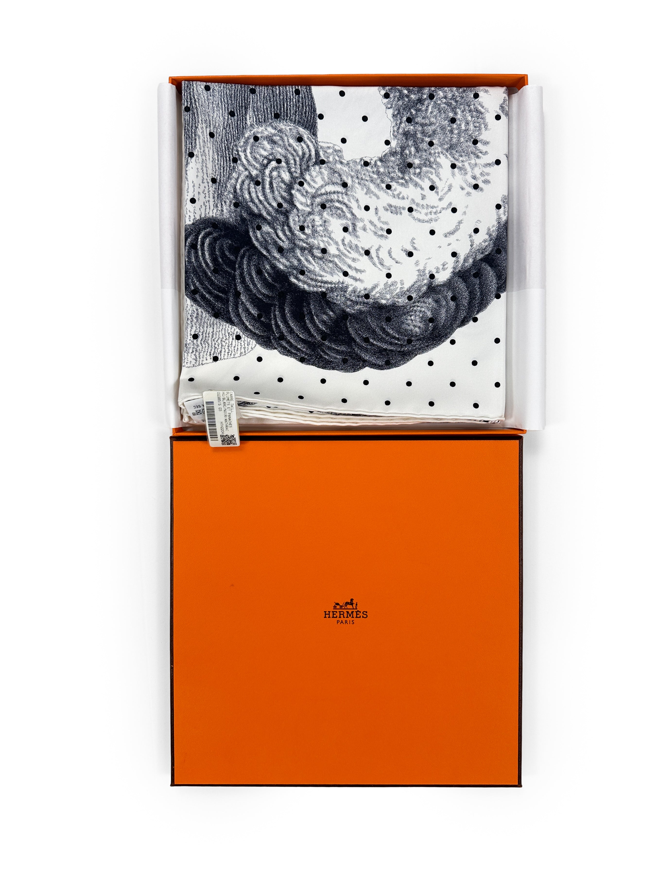 Hermès Plumets et Panaches 90