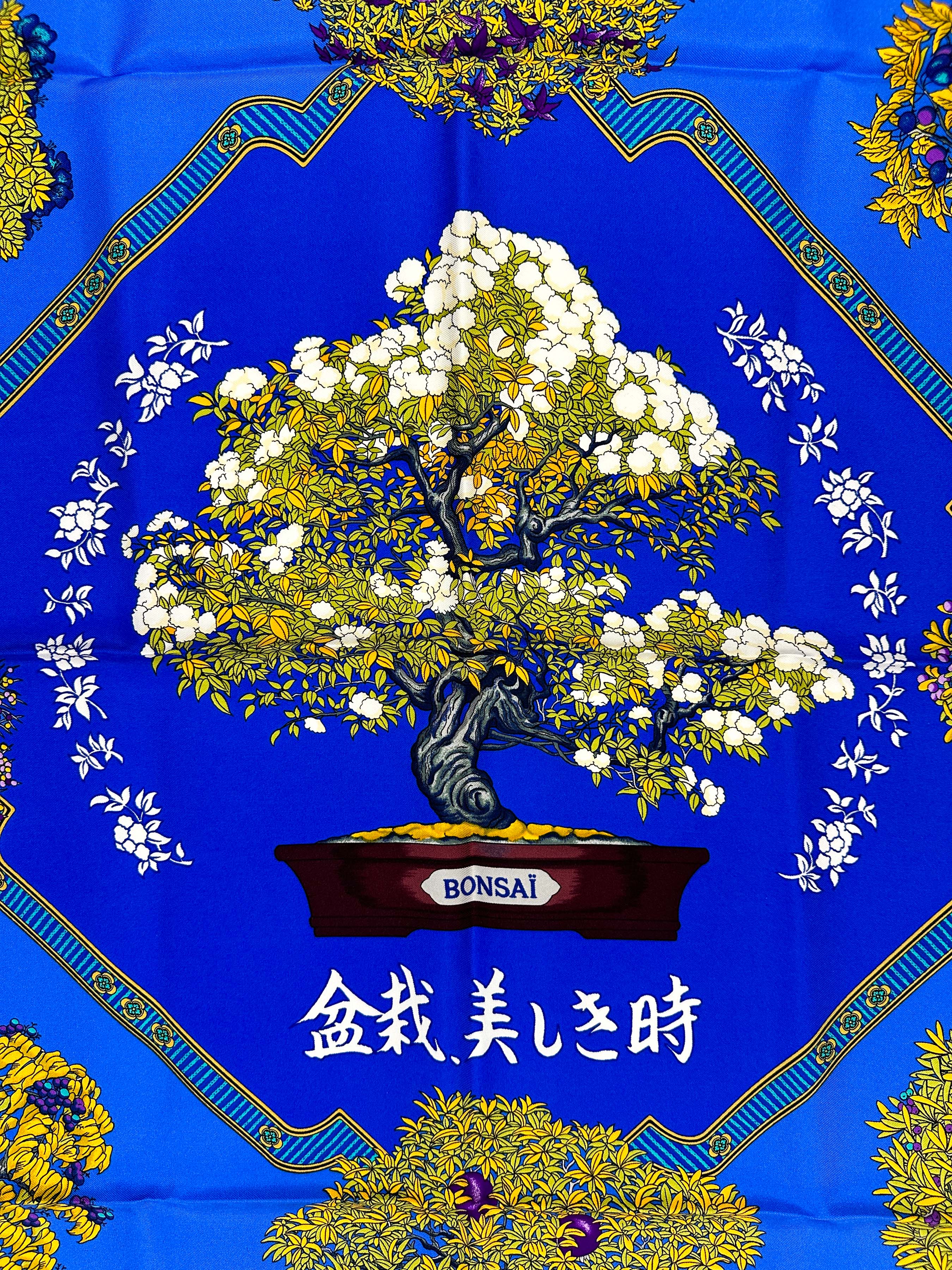 Hermès Les Beaux Jours des Bonsaï 90