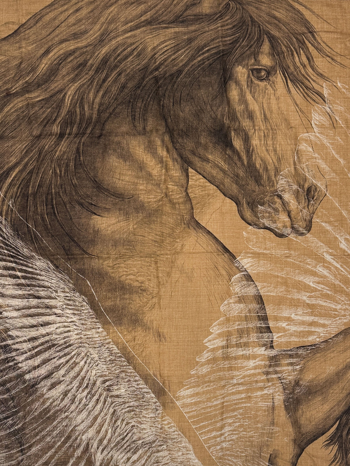 Hermès Les Ailes De Pegase Cashmere Silk 100