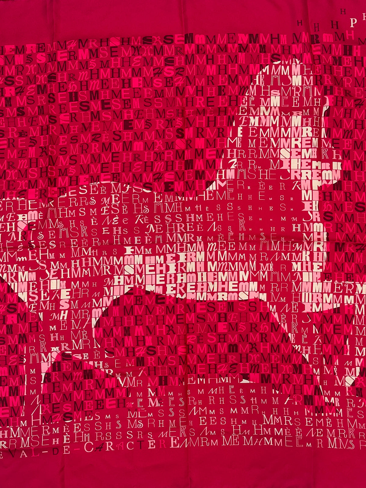 Hermès Cheval de Caractère 90