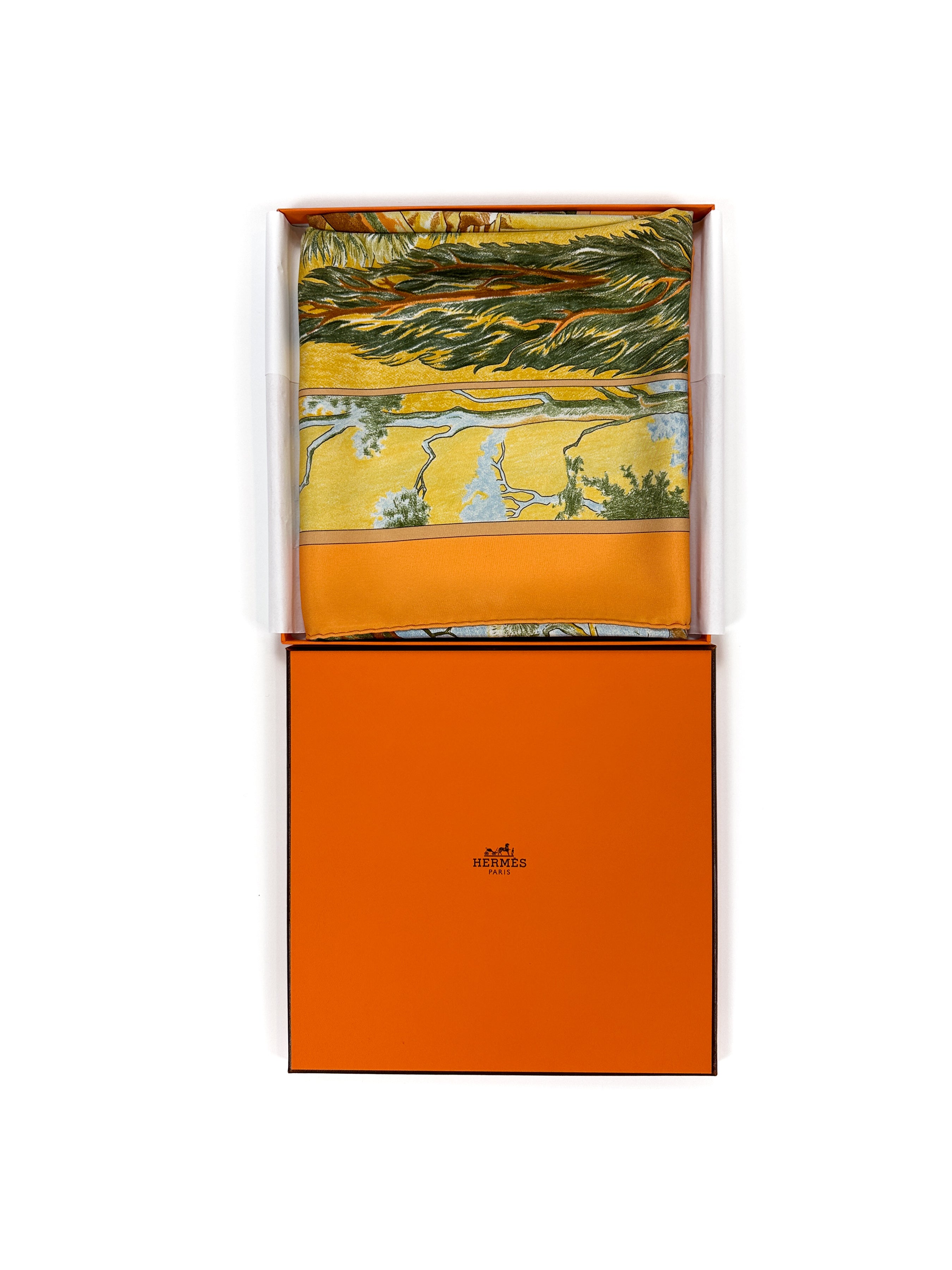 Hermès Promenade au Pays de Cézanne 90