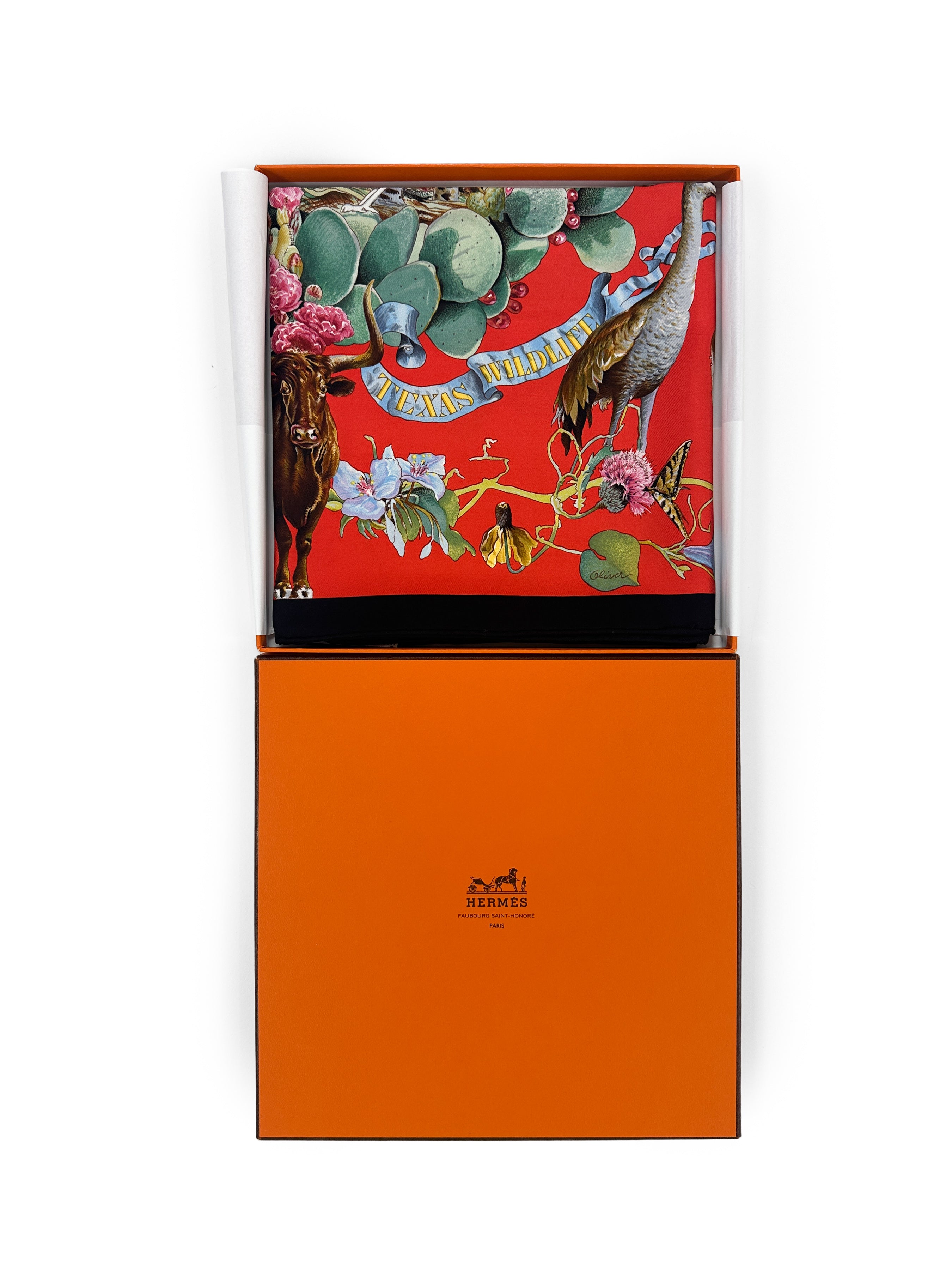Hermès Faune et Flore du Texas 90