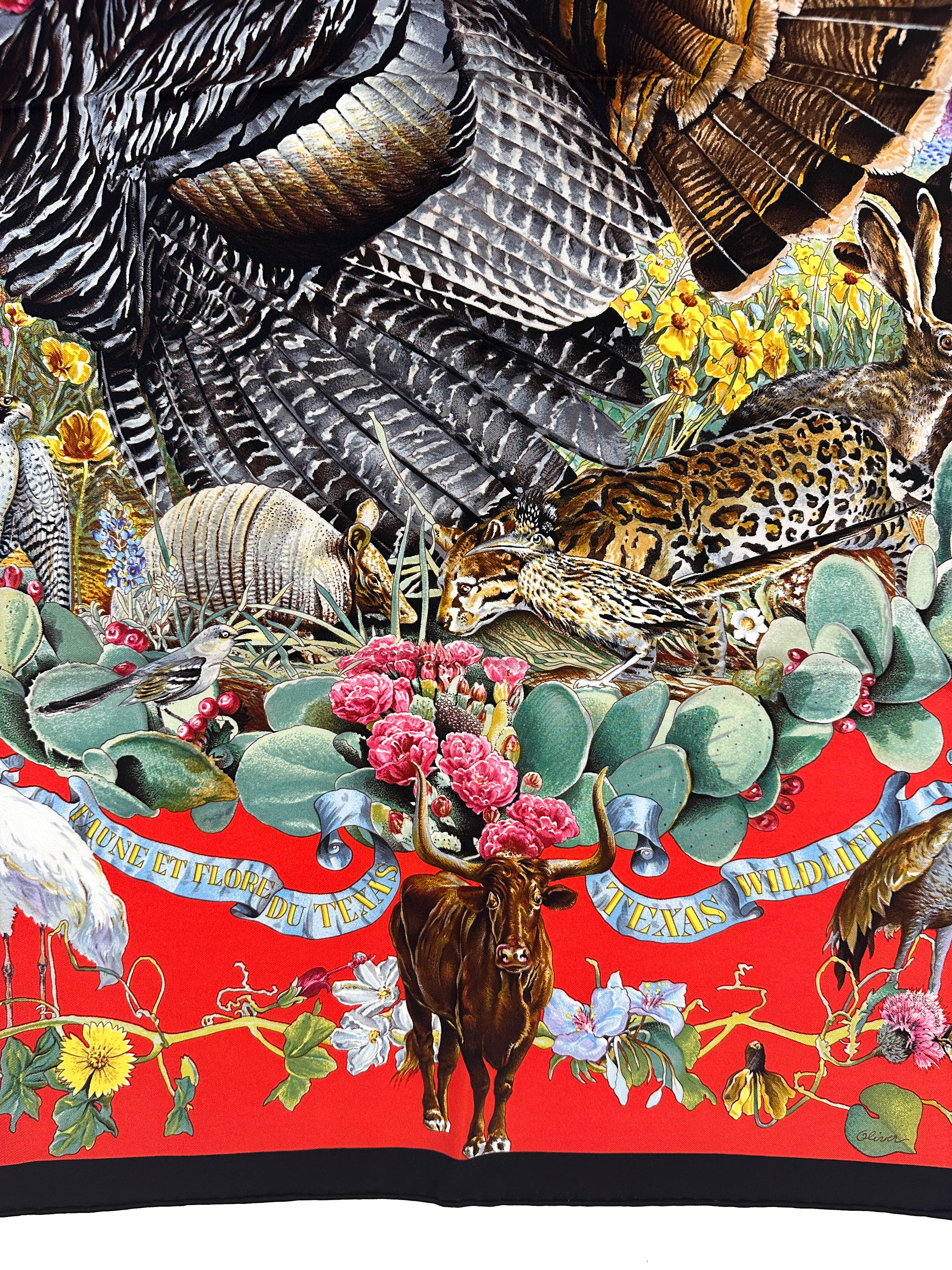 Hermès Faune et Flore du Texas 90