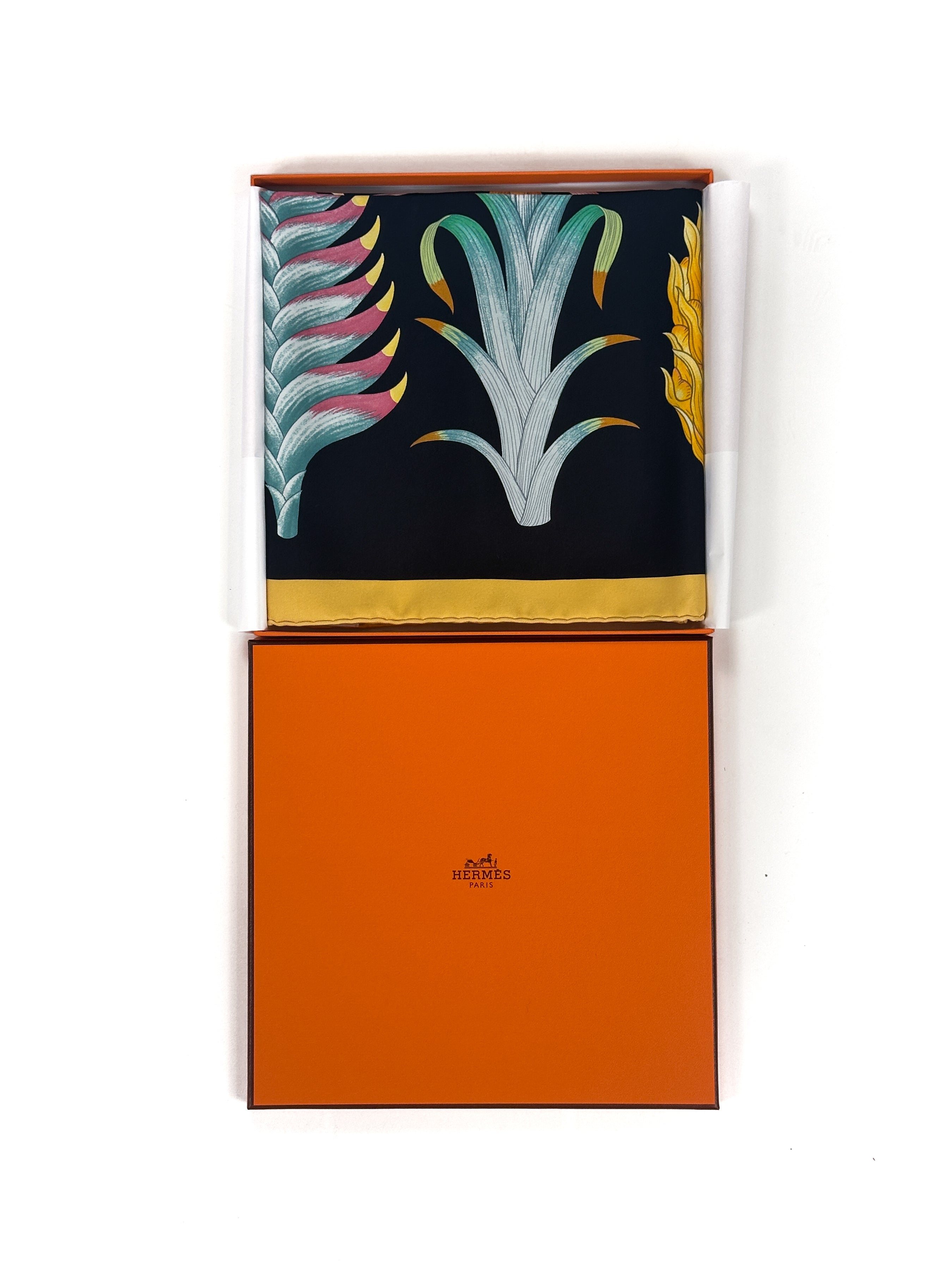 Hermès Index Bromeliaceae 90