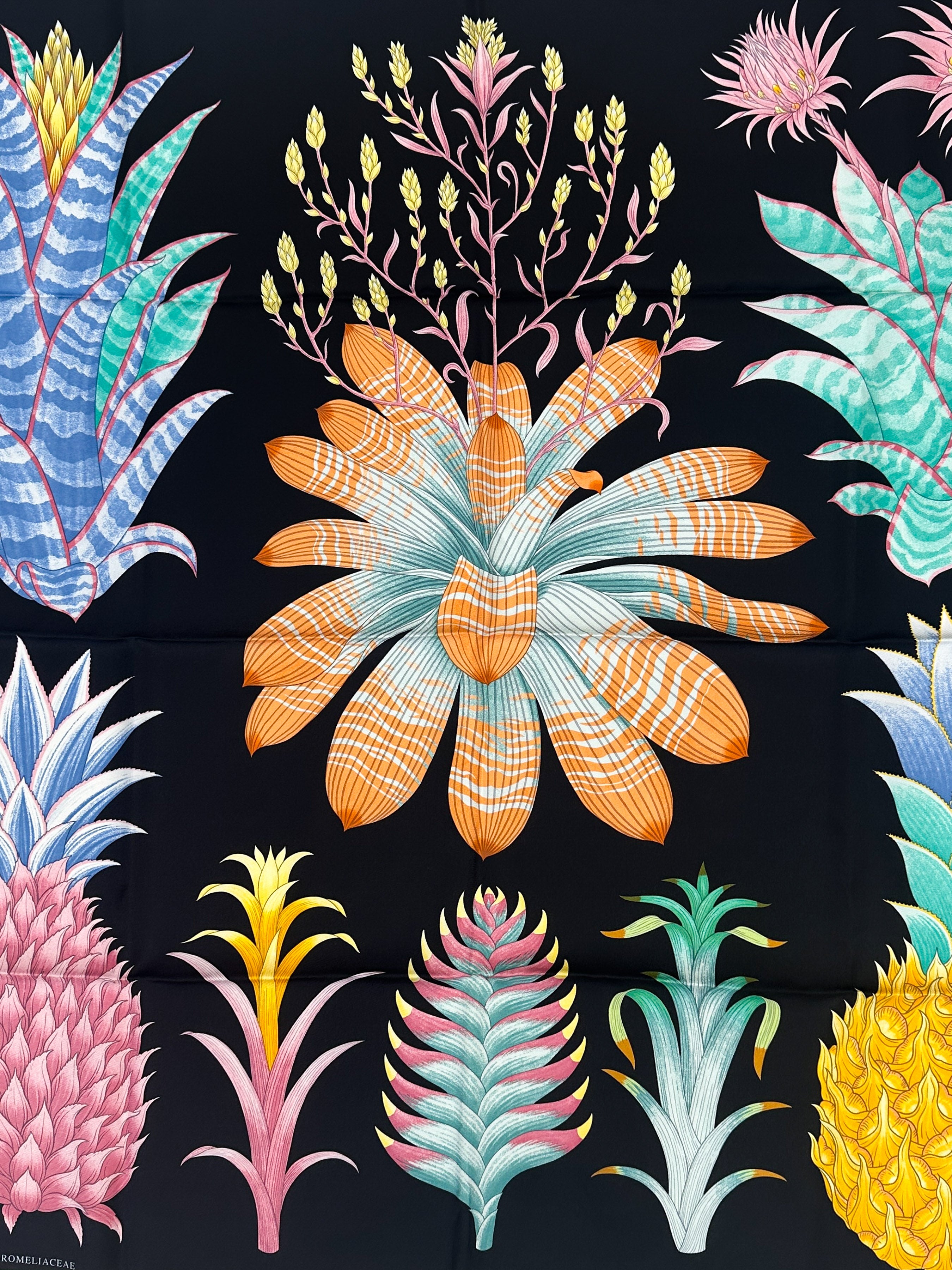 Hermès Index Bromeliaceae 90