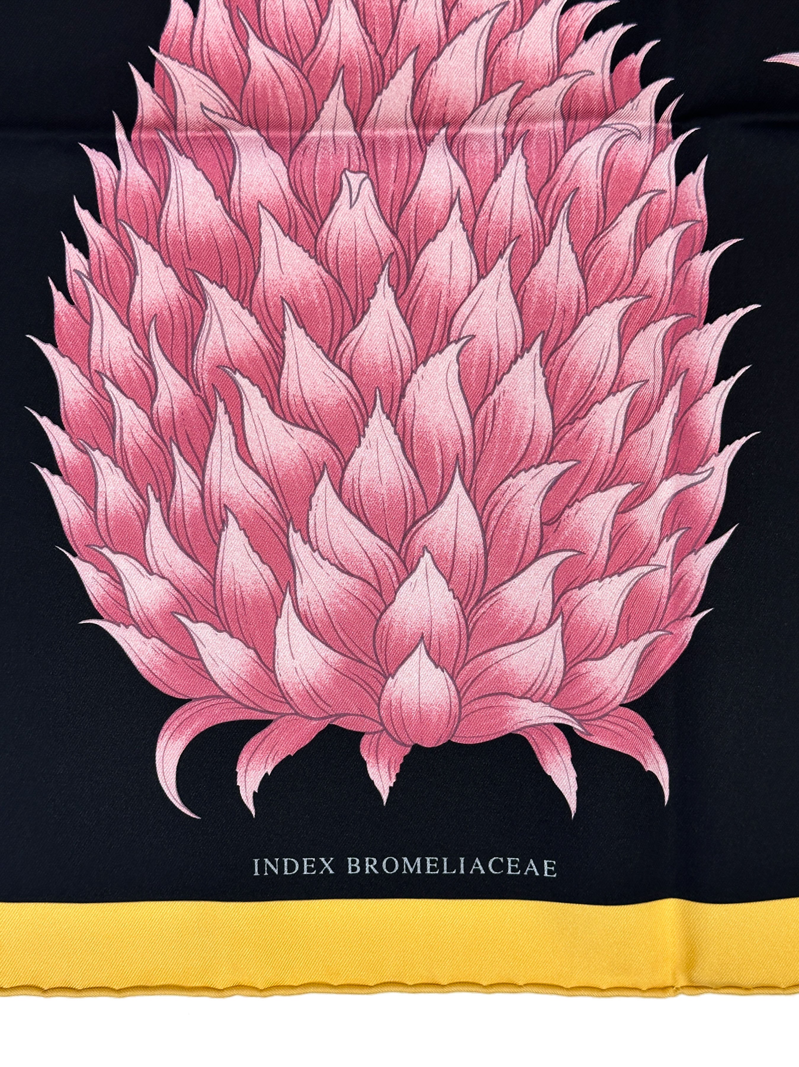 Hermès Index Bromeliaceae 90