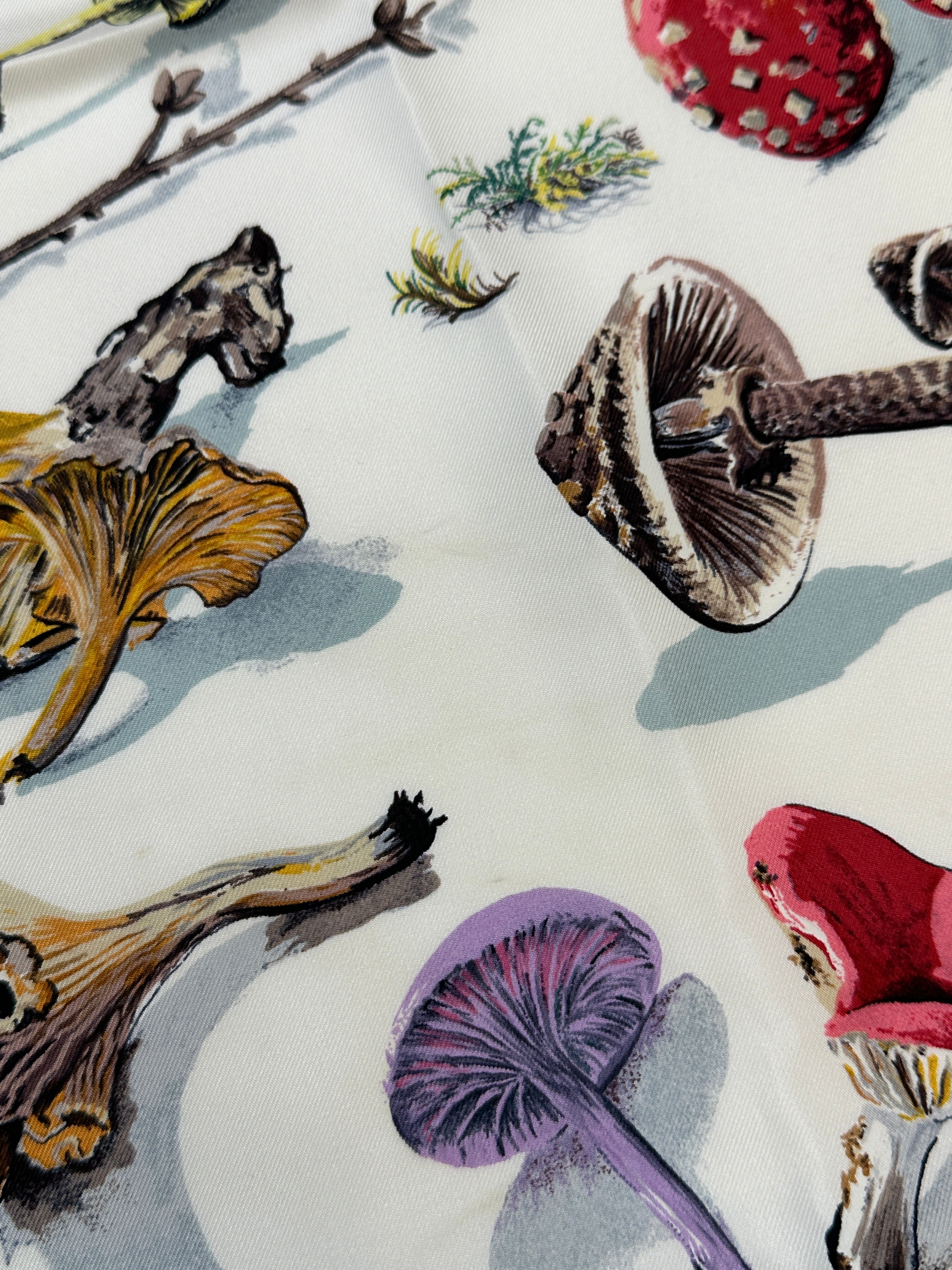 Hermès Champignons 90