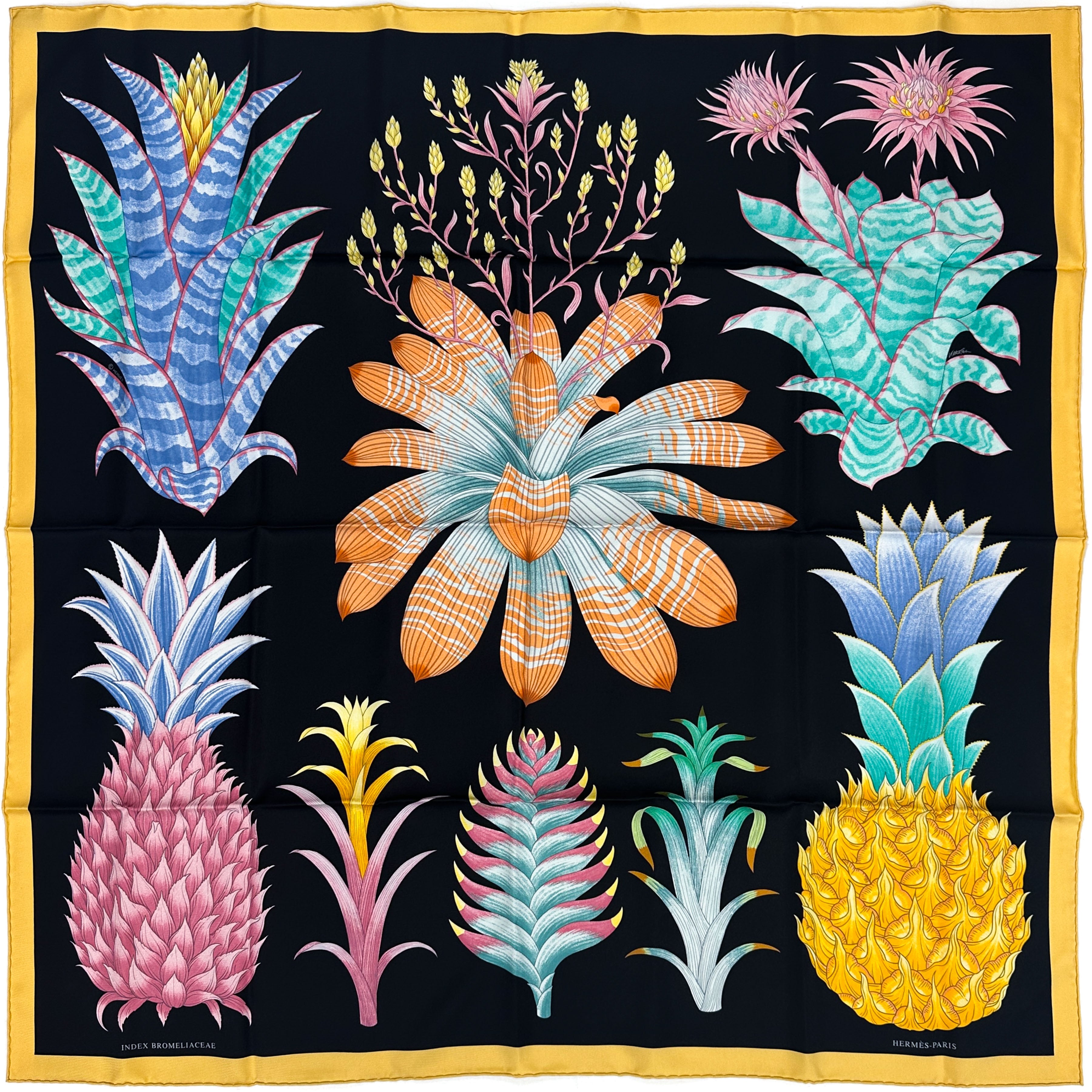 Hermès Index Bromeliaceae 90