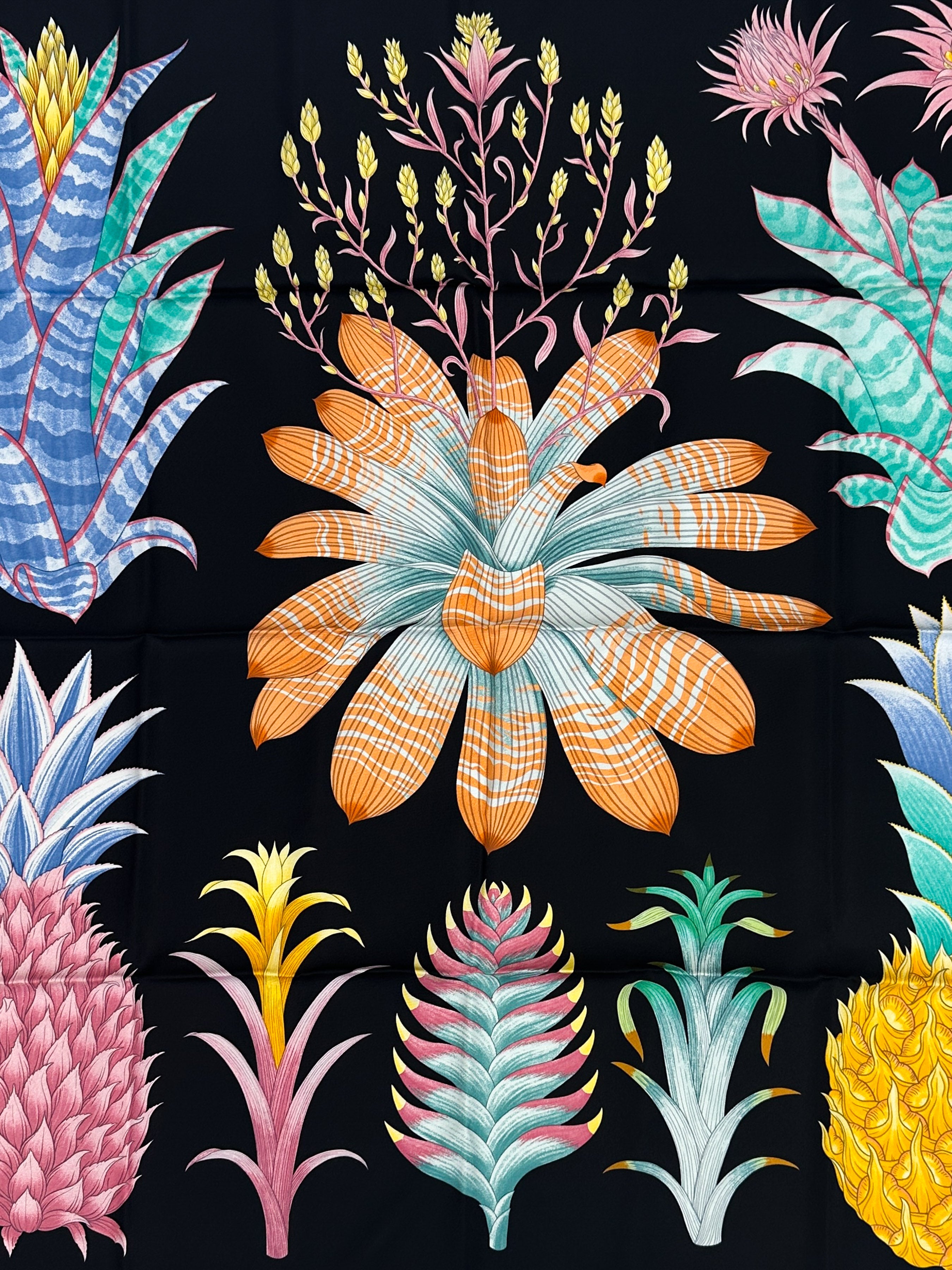 Hermès Index Bromeliaceae 90