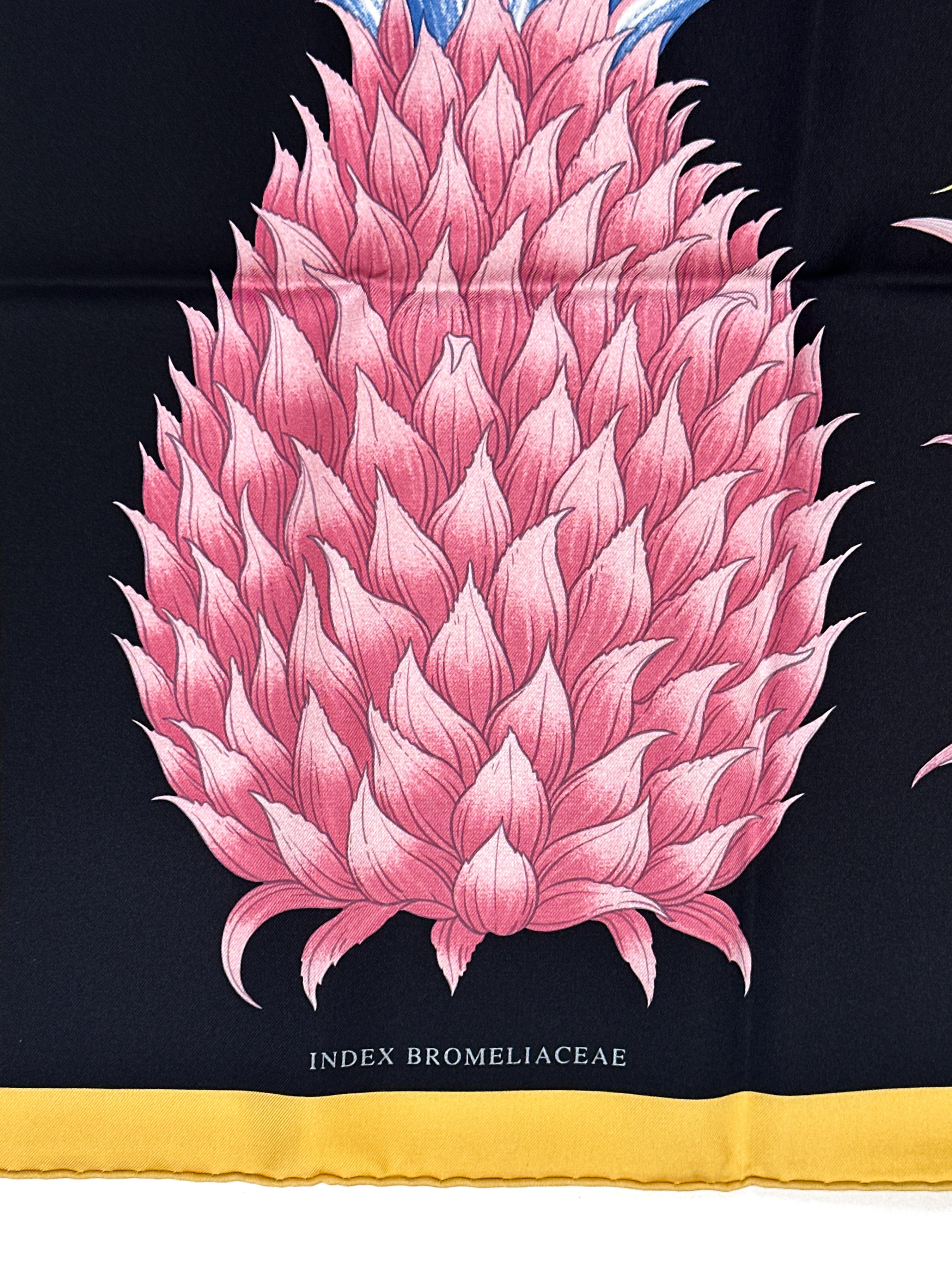 Hermès Index Bromeliaceae 90