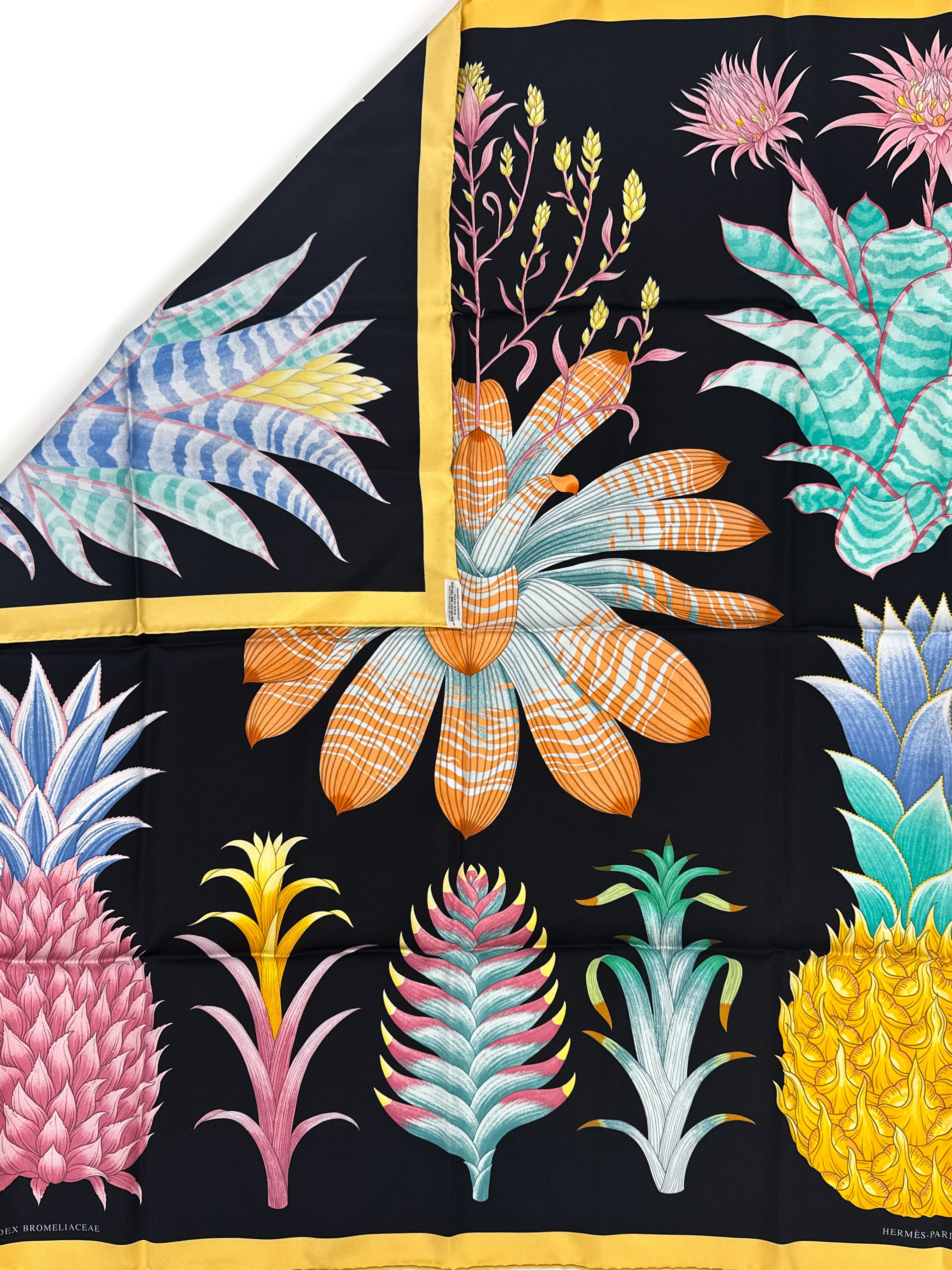 Hermès Index Bromeliaceae 90