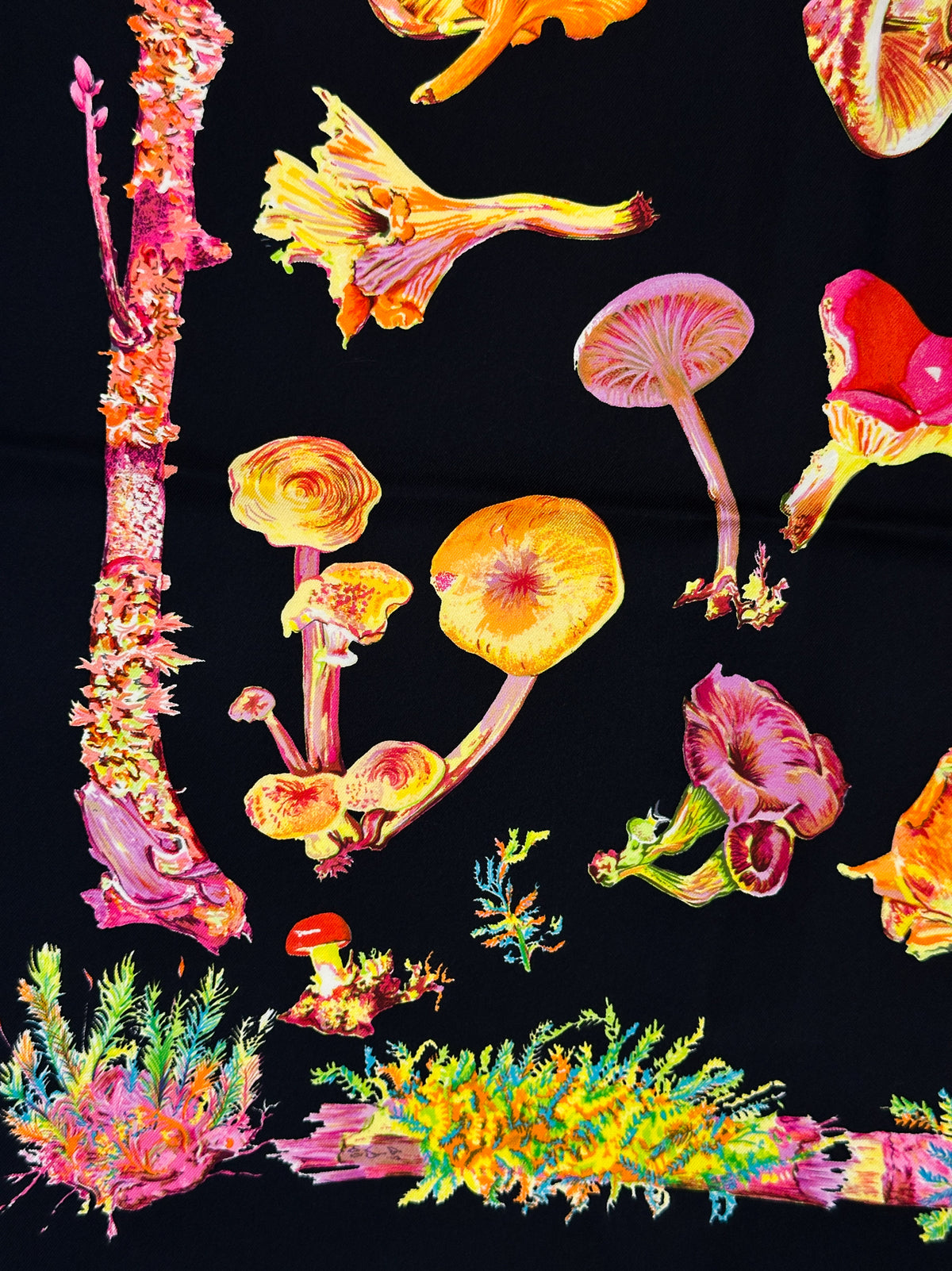 Hermès Champignons 90