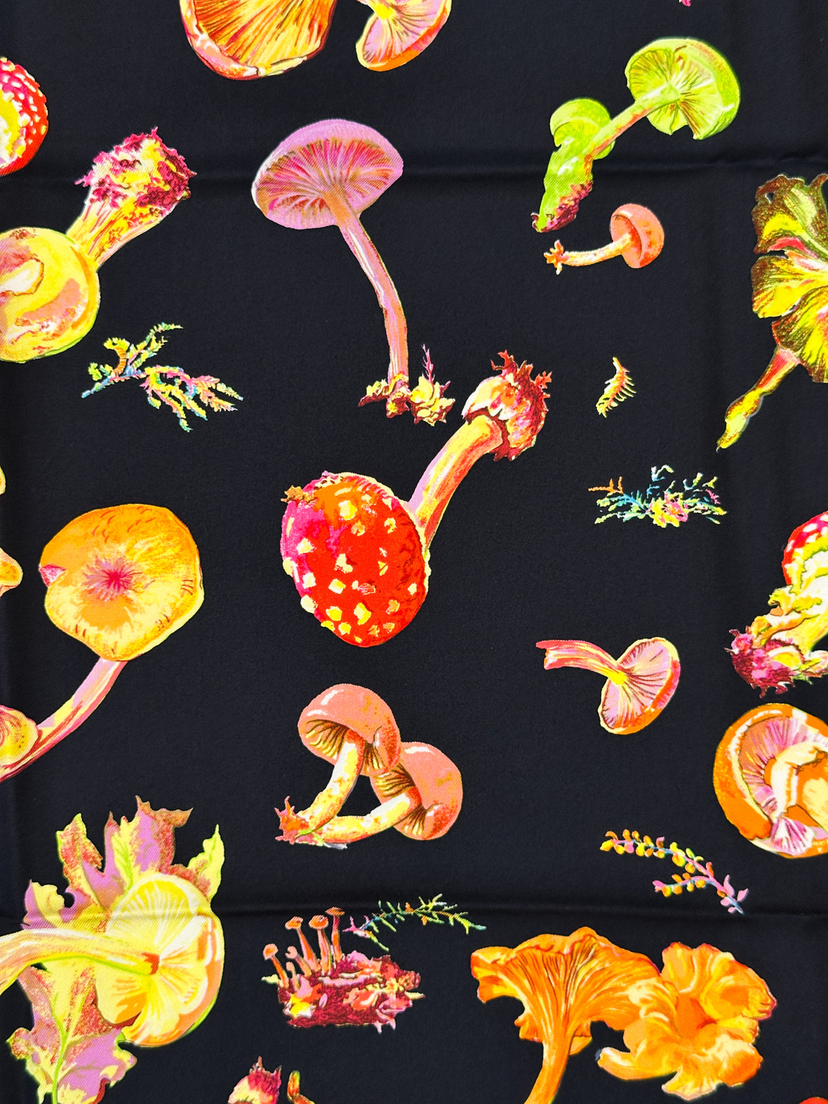 Hermès Champignons 90
