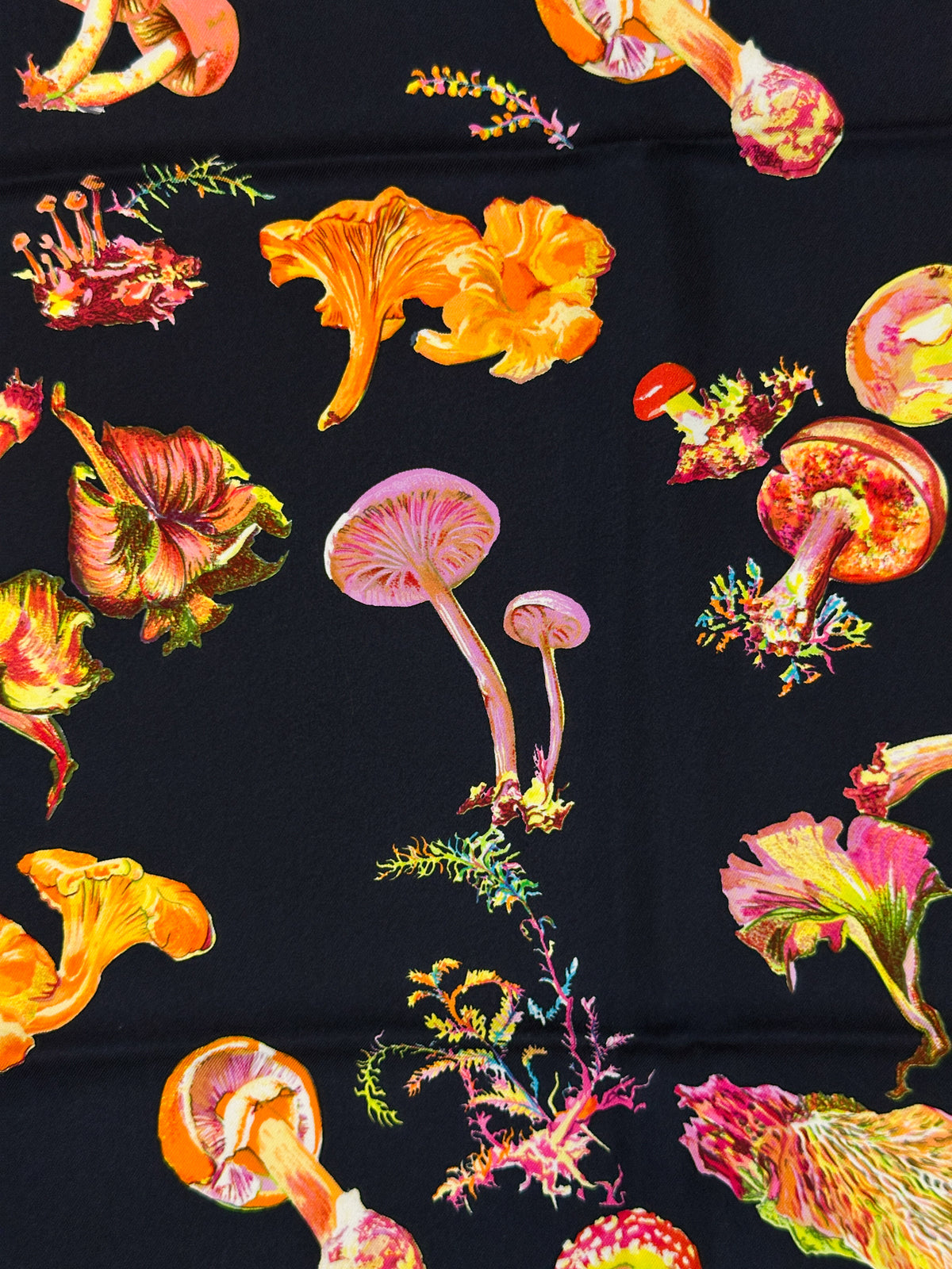 Hermès Champignons 90