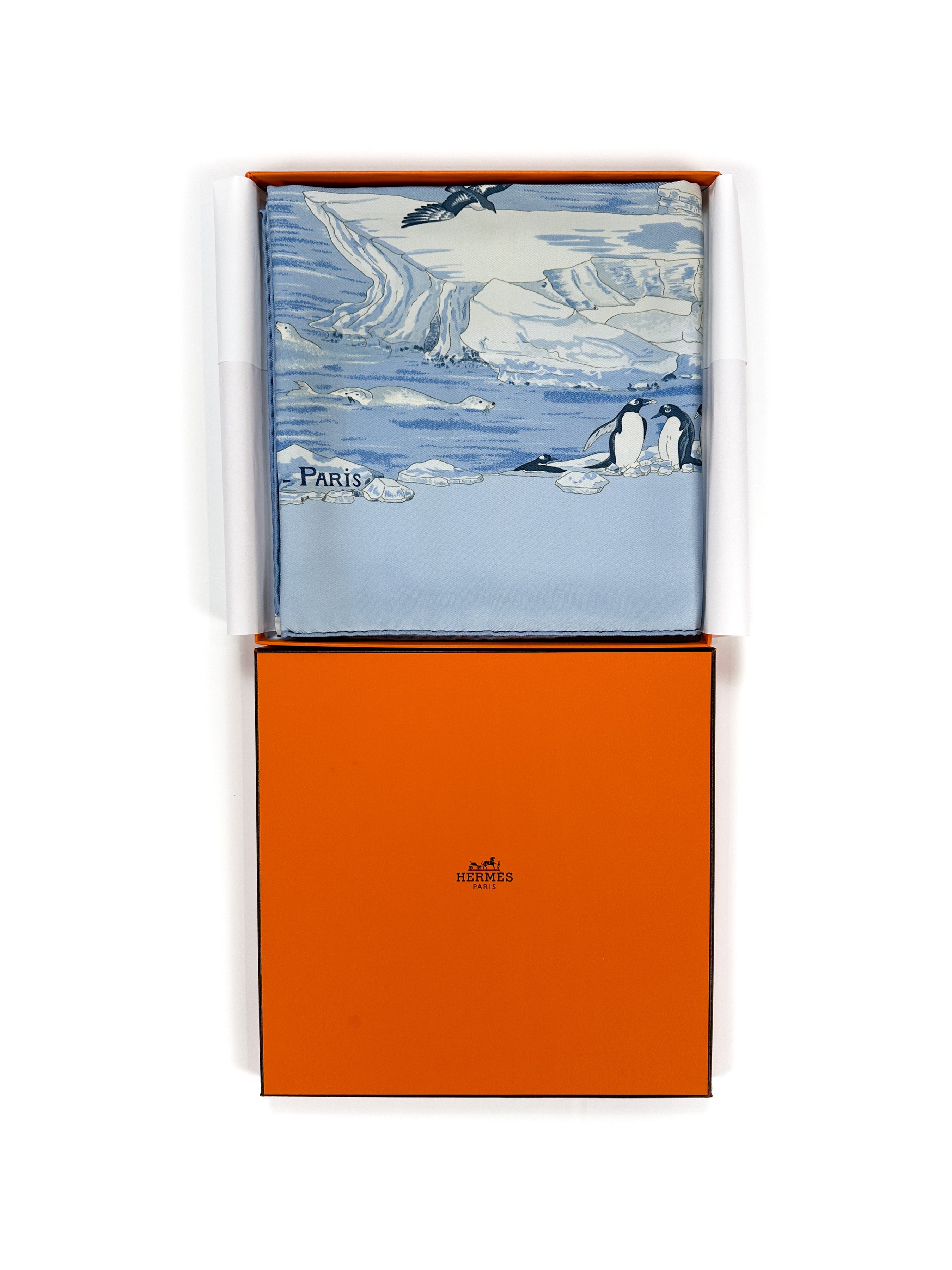 Hermès Hommage à l'Explorateur Sir Ernest Shackleton 90