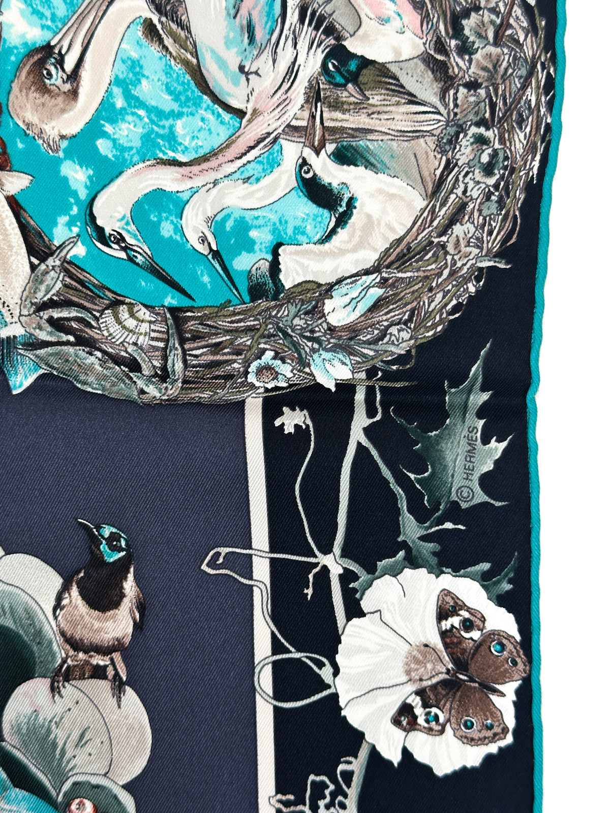 Hermès Faune et Flore du Texas 70