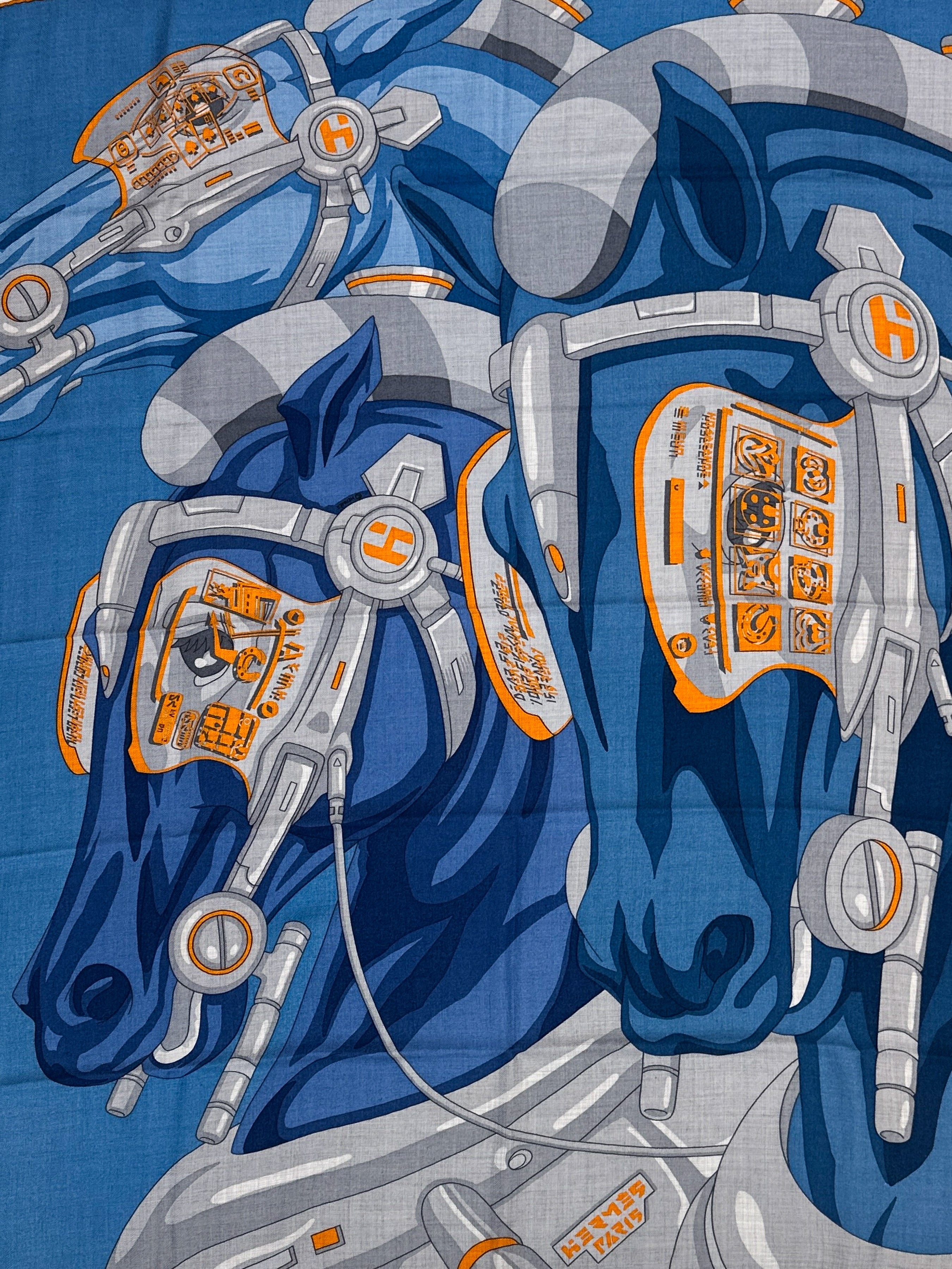 Hermès Horse Reality Cashmere Silk 100