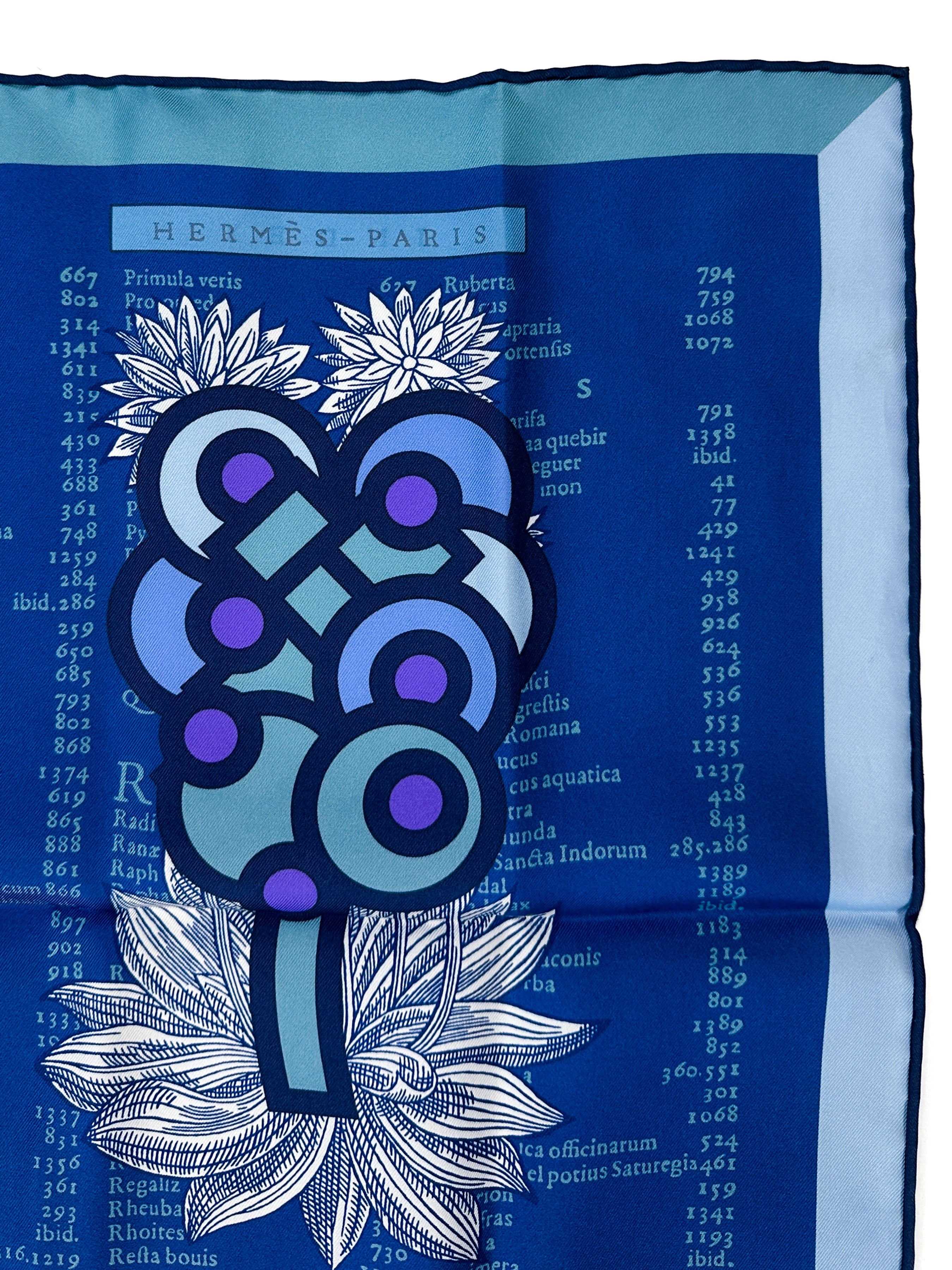 Hermès Botanica Grafica Double Face 90