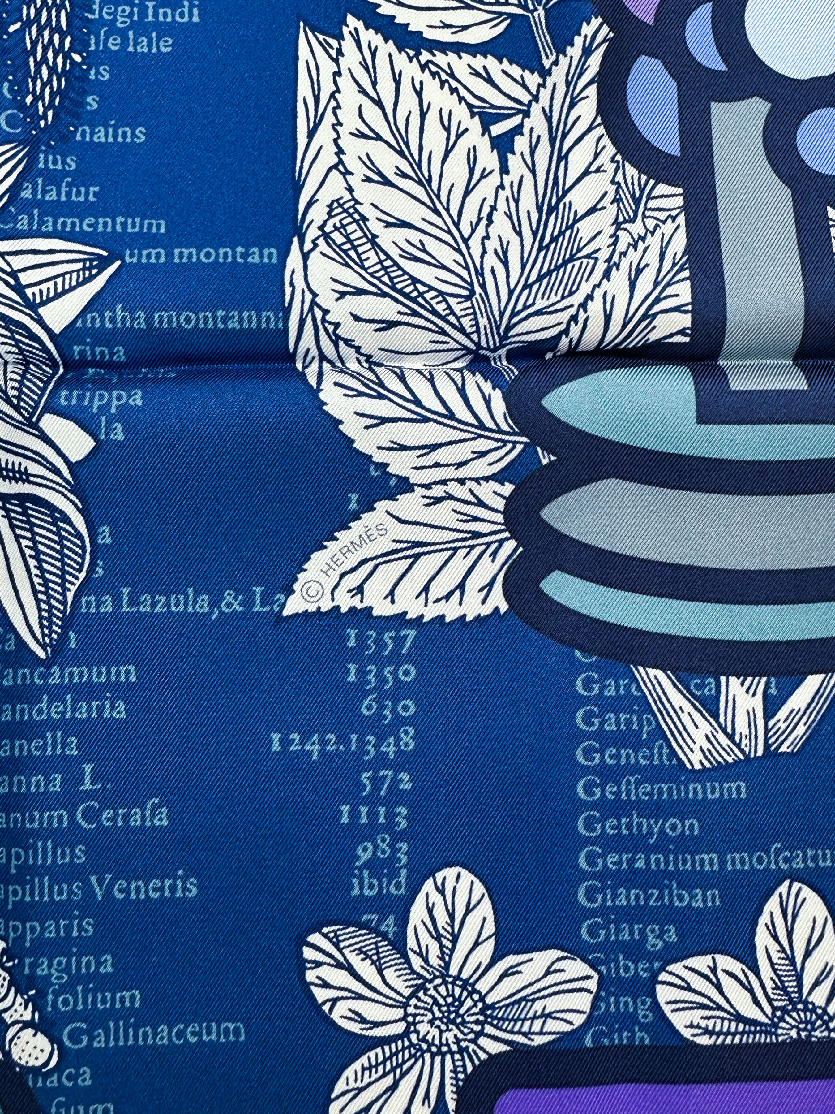 Hermès Botanica Grafica Double Face 90