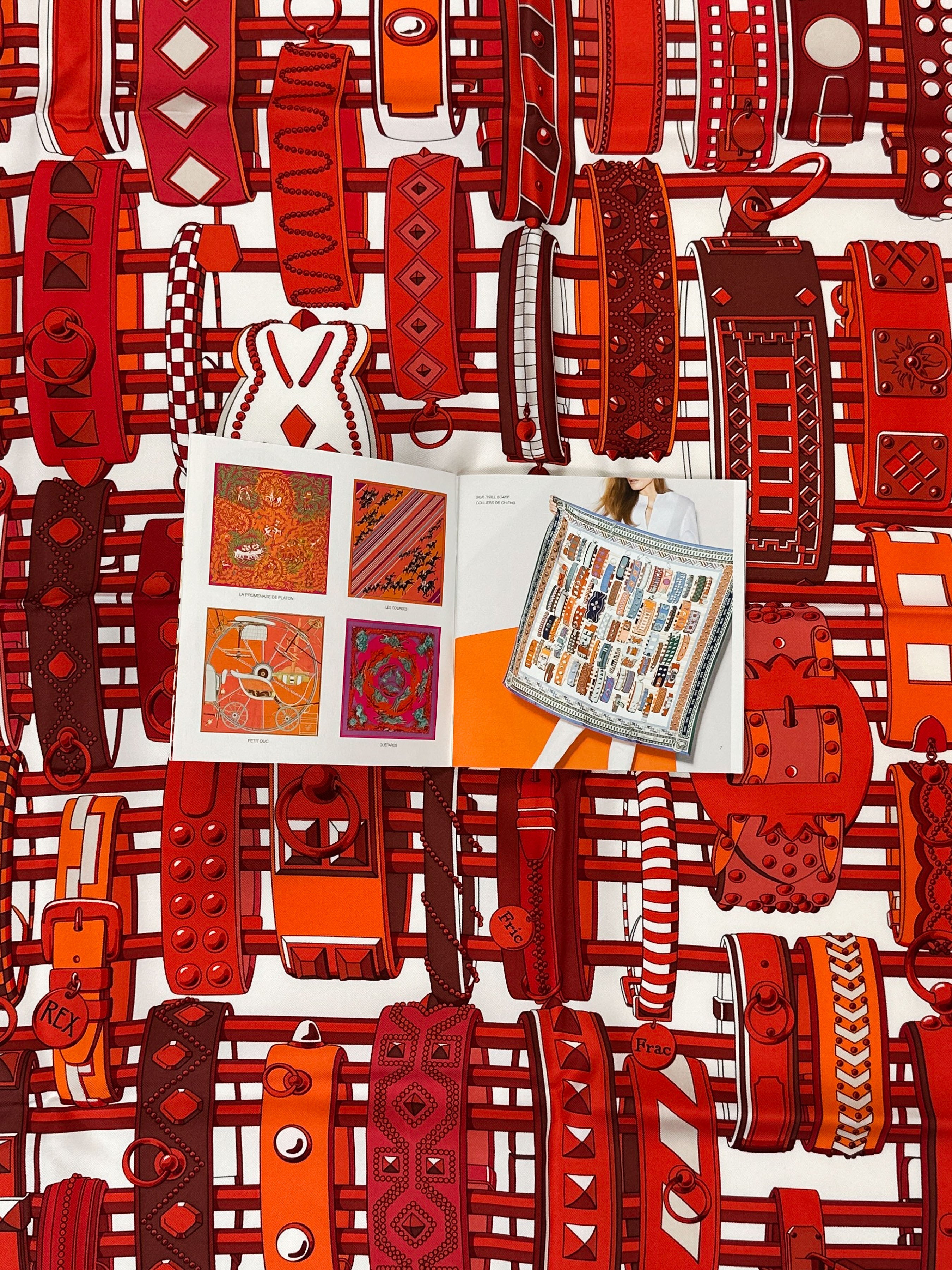 Hermès Colliers de Chiens 90