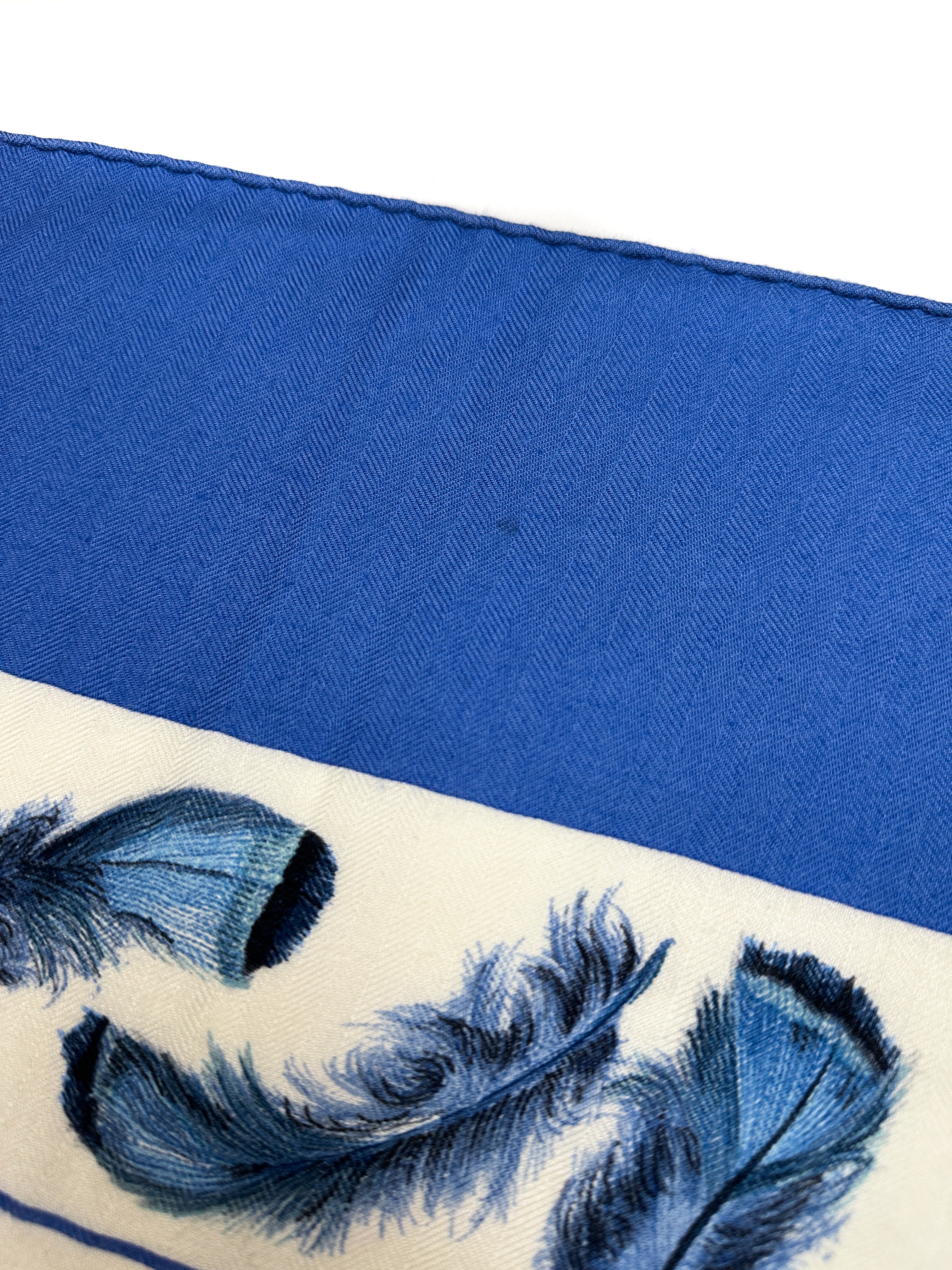 Hermès Plumes Cashmere Silk 140
