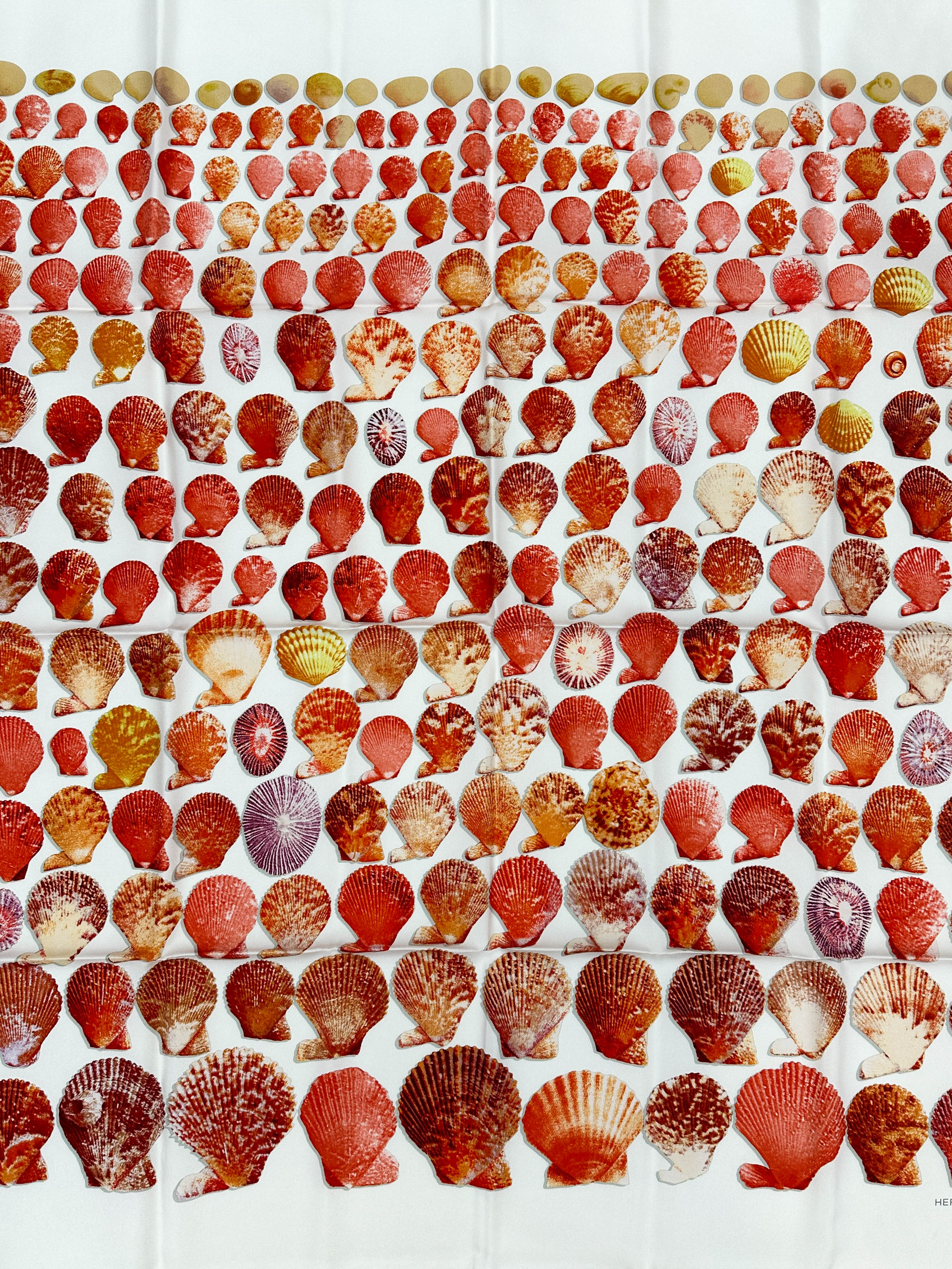 Hermès Coquilles 90