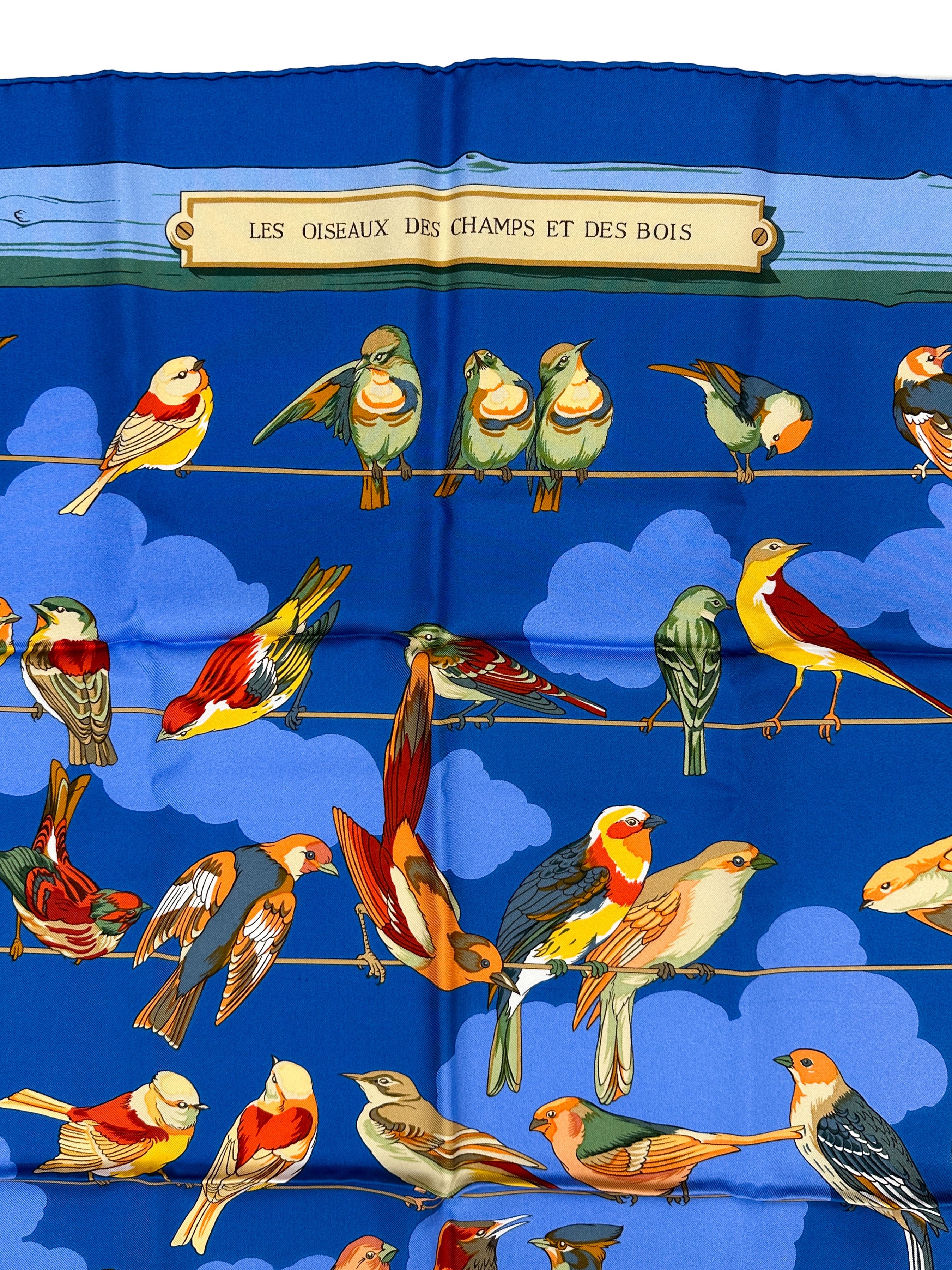 Hermès Les Oiseaux des Champs et des Bois 90