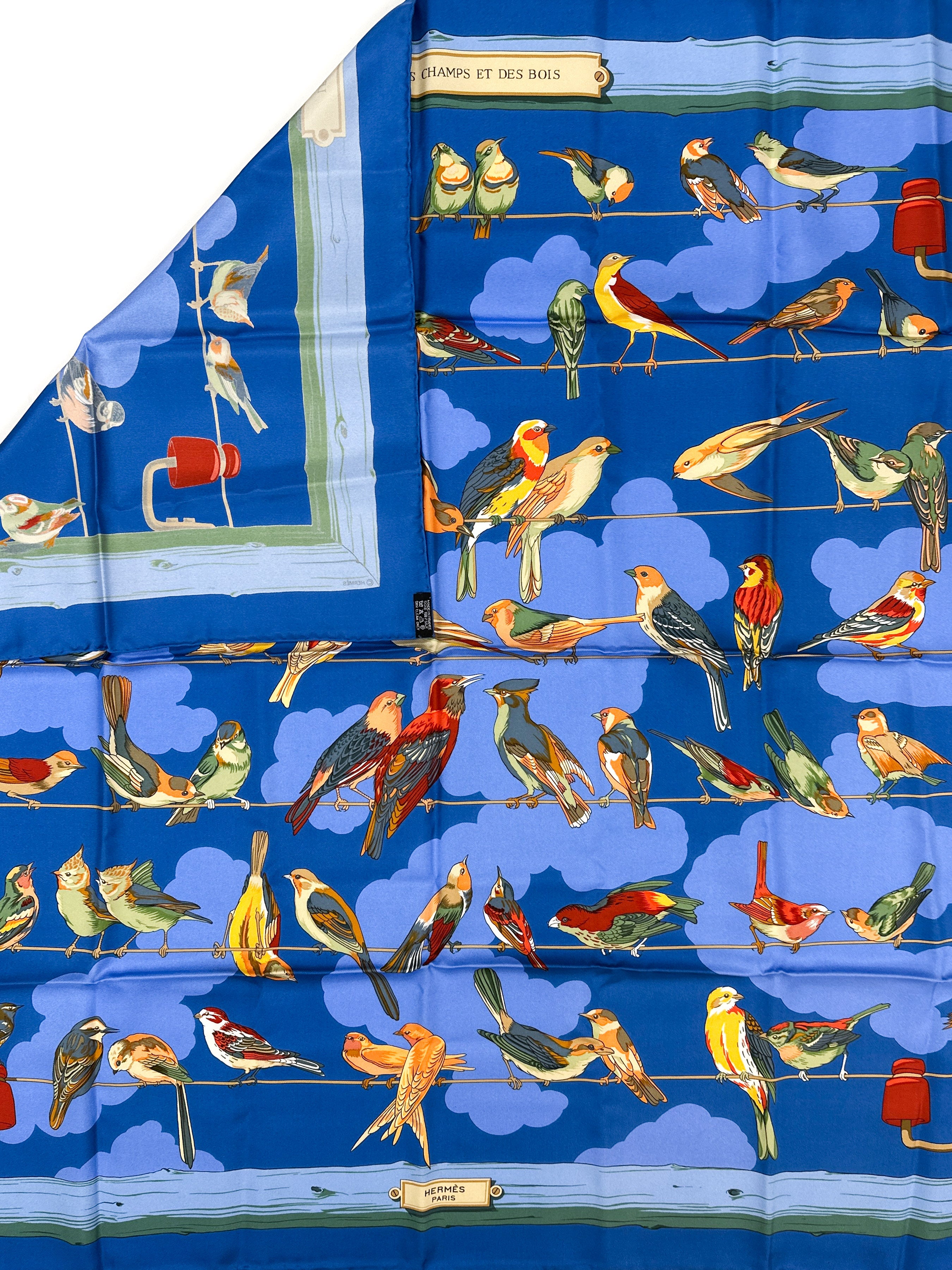 Hermès Les Oiseaux des Champs et des Bois 90