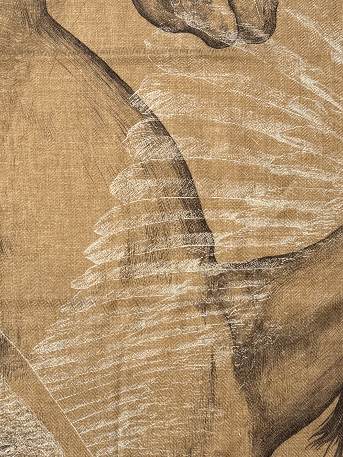 Hermès Les Ailes De Pegase Cashmere Silk 100