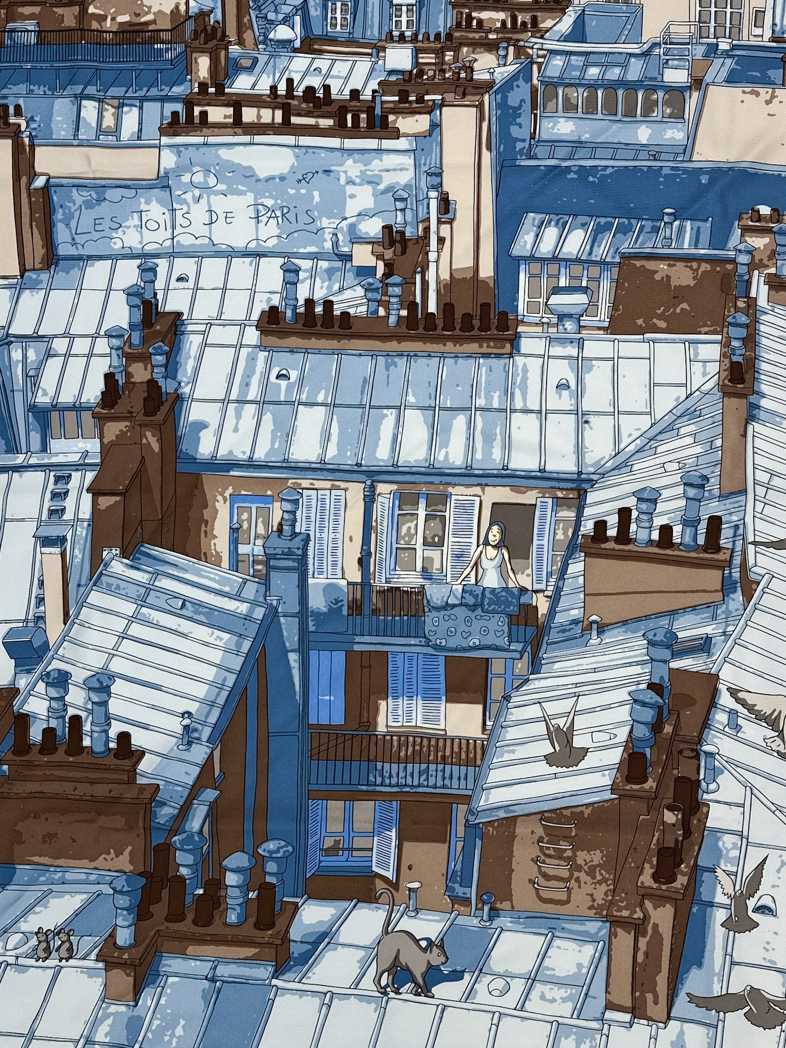 Hermès Les Toits de Paris 90