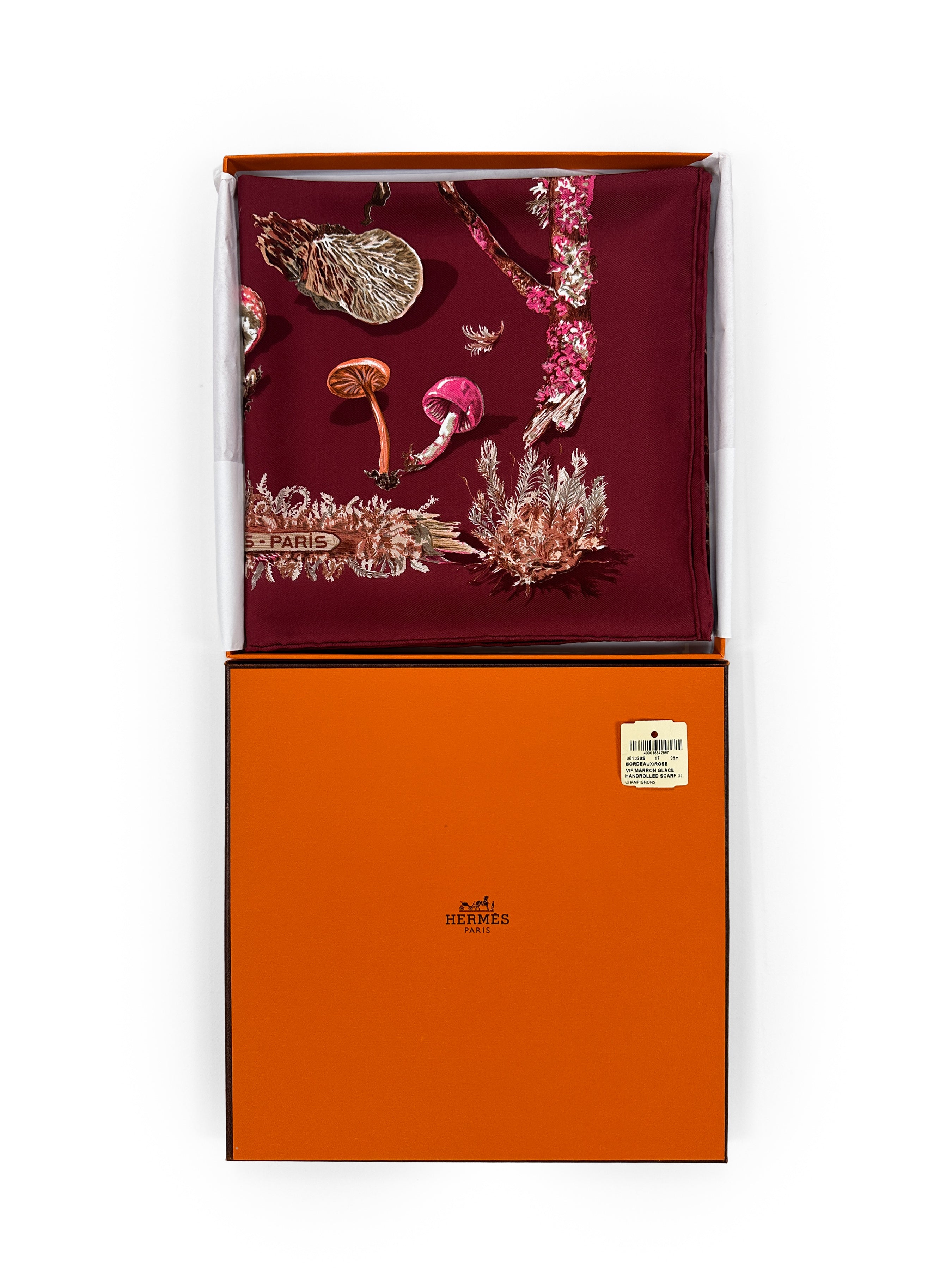 Hermès Champignons 90