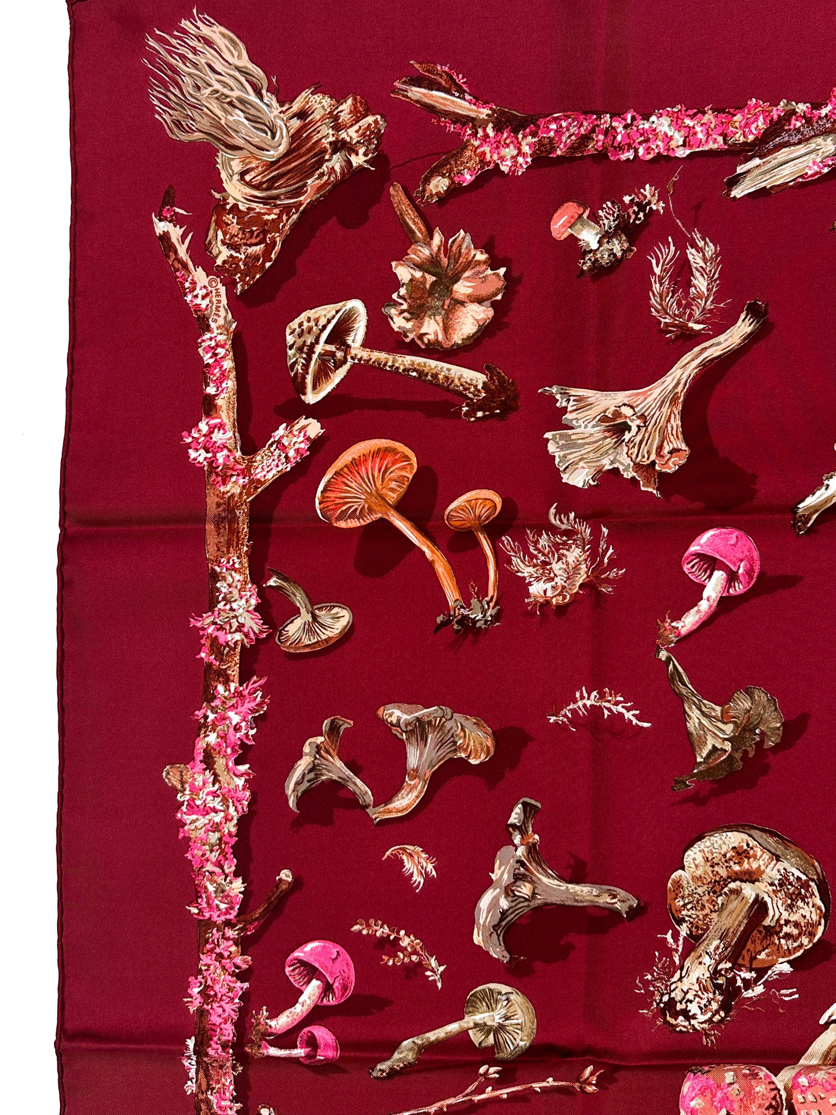 Hermès Champignons 90
