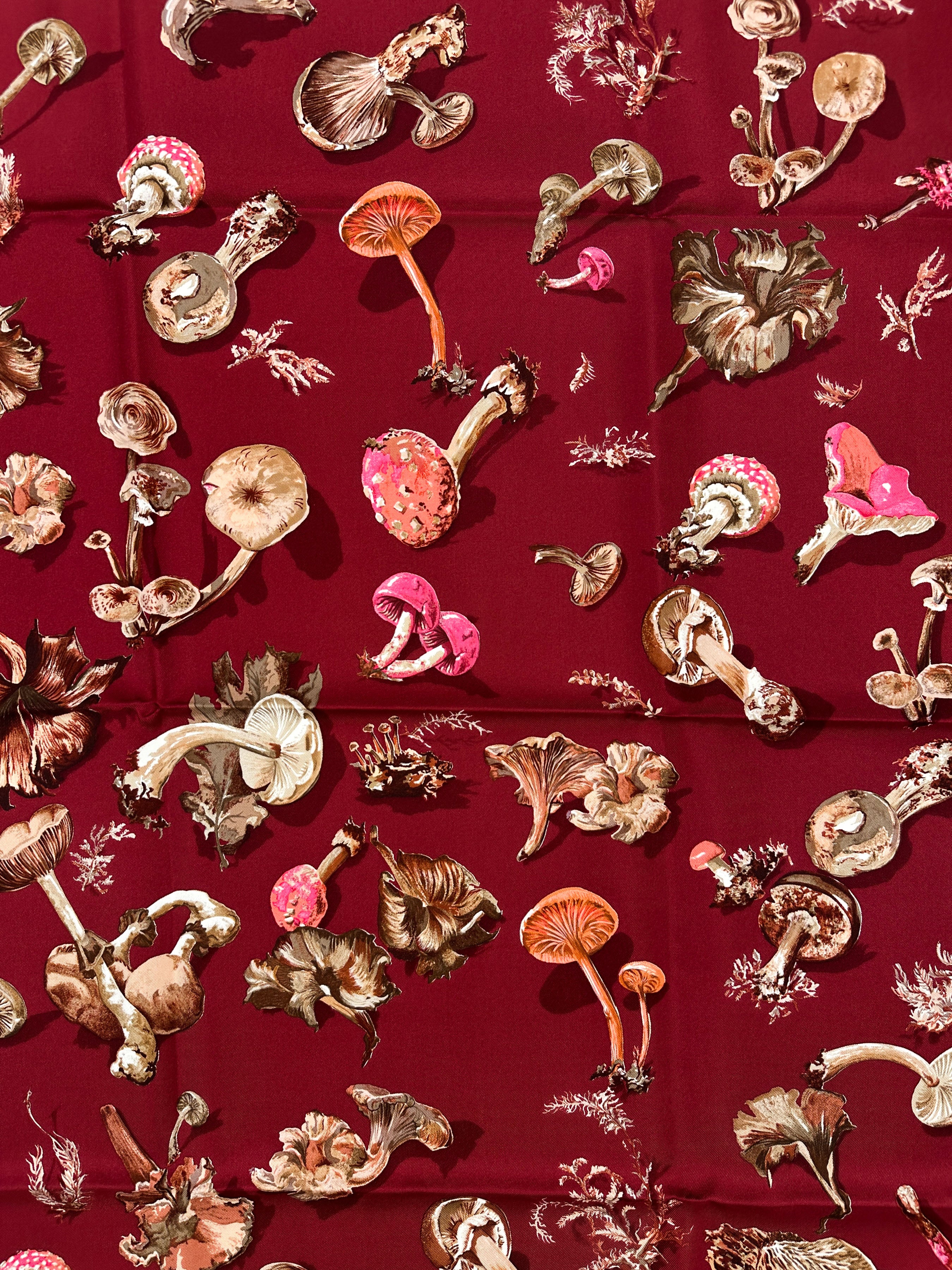 Hermès Champignons 90
