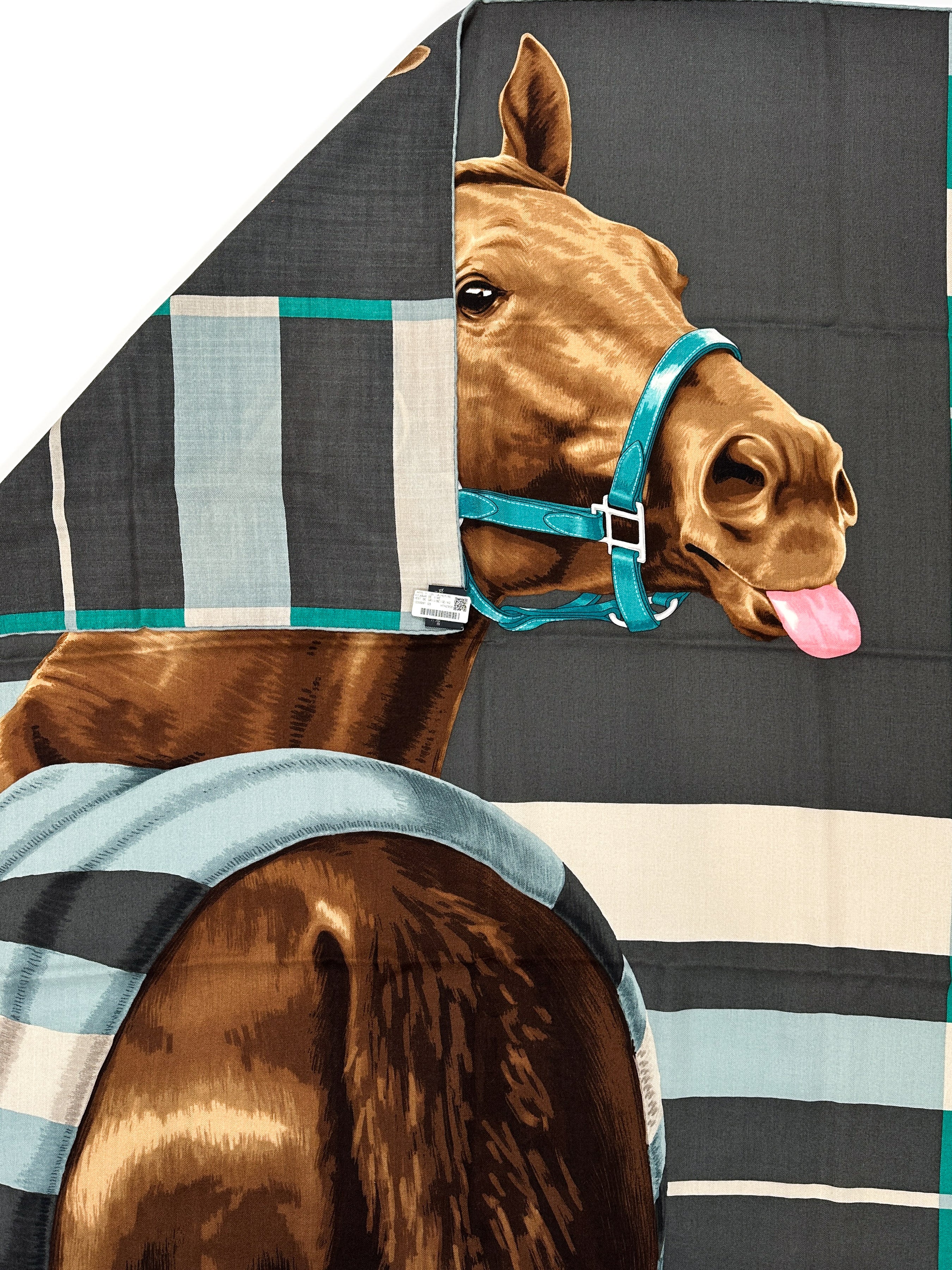 Hermès Rocabar de Rire Cashmere Silk 100