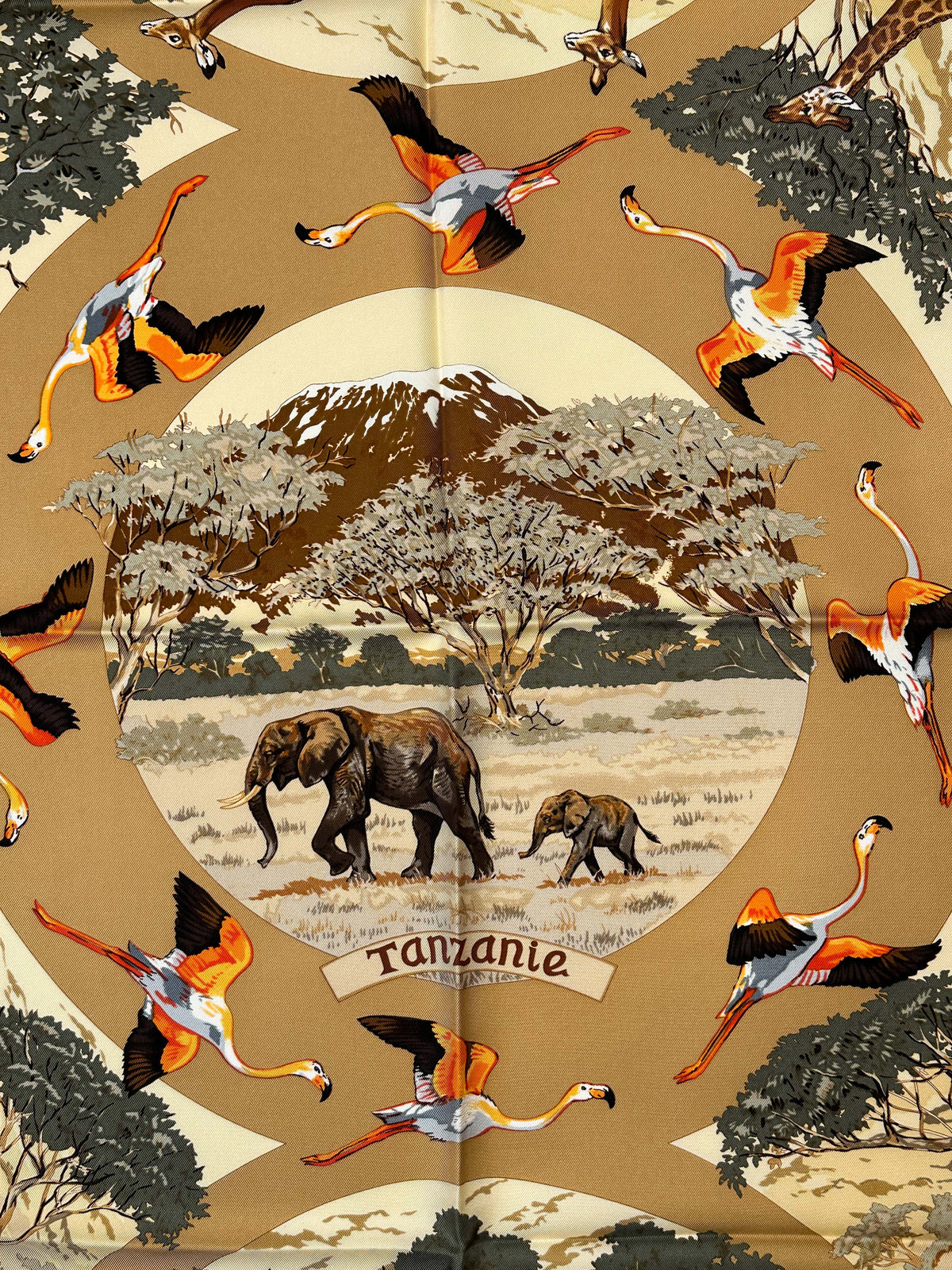 Hermès Tanzanie Plissé 90