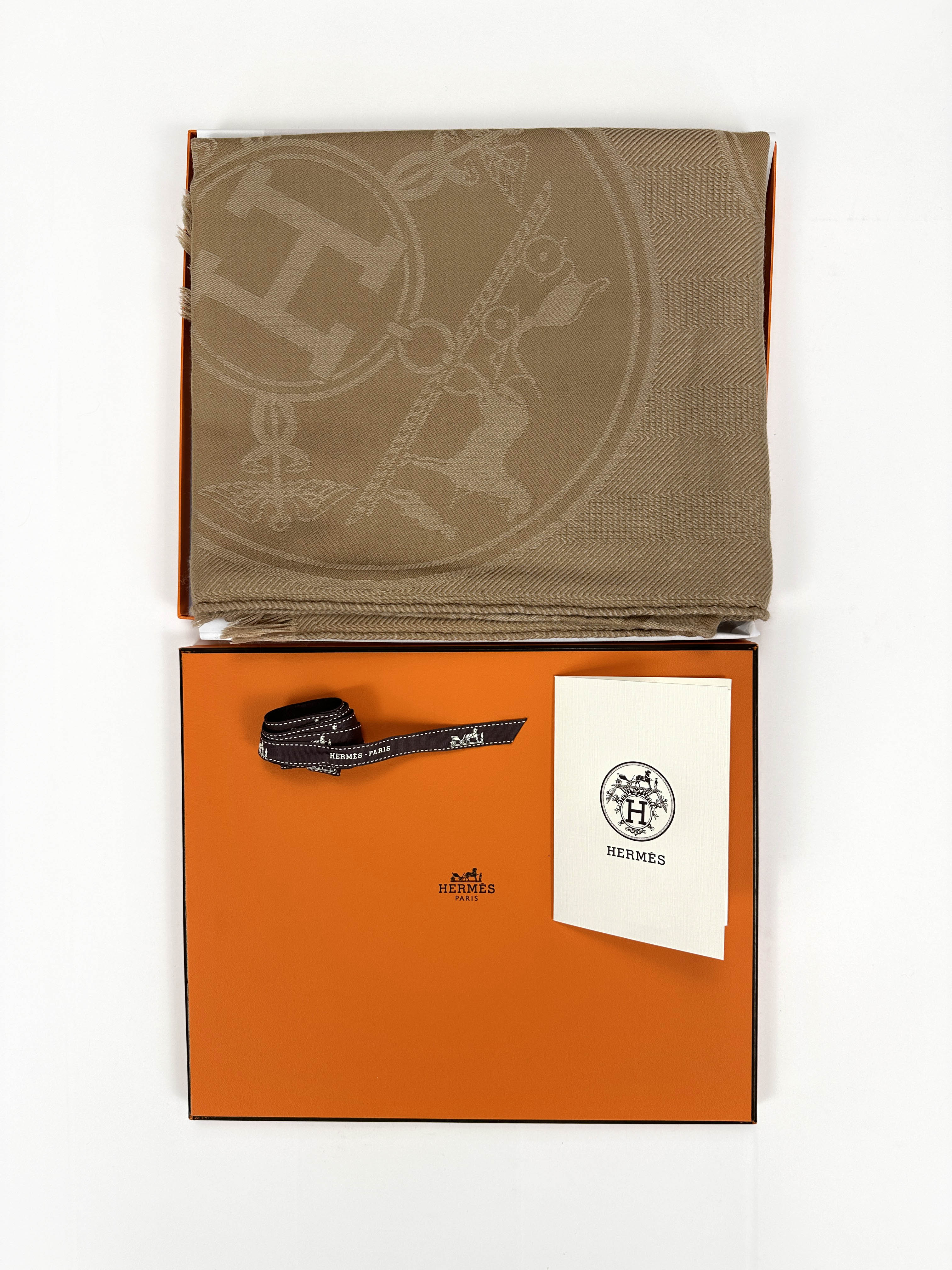 Hermès New Libris Cashmere Silk Stole